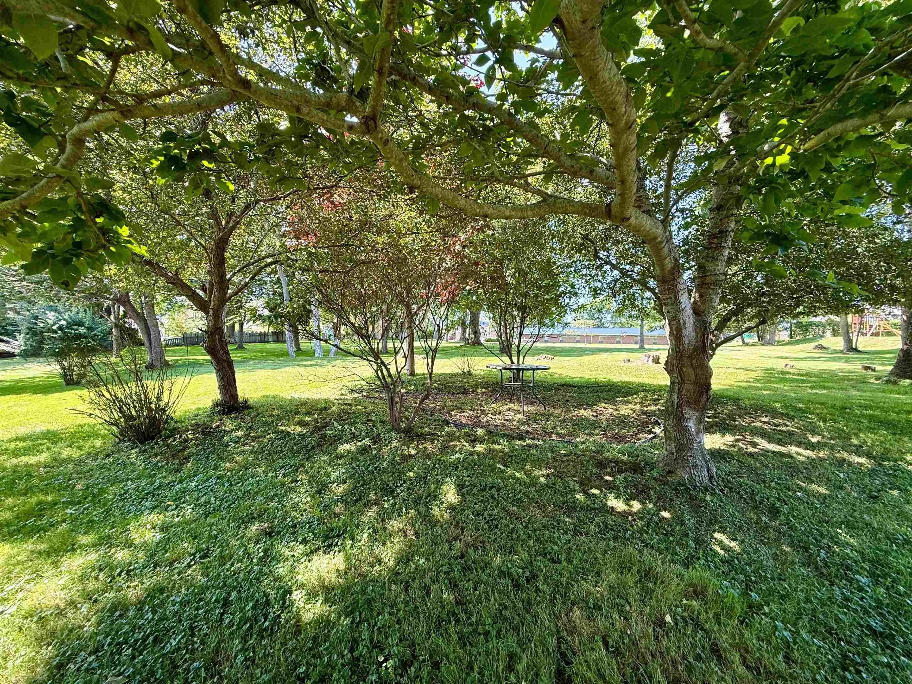 20 Parade Street, Yarmouth, NS B5A 3A4, 3 Bedrooms Bedrooms, ,2 BathroomsBathrooms,Residential,For Sale,Parade,202519682