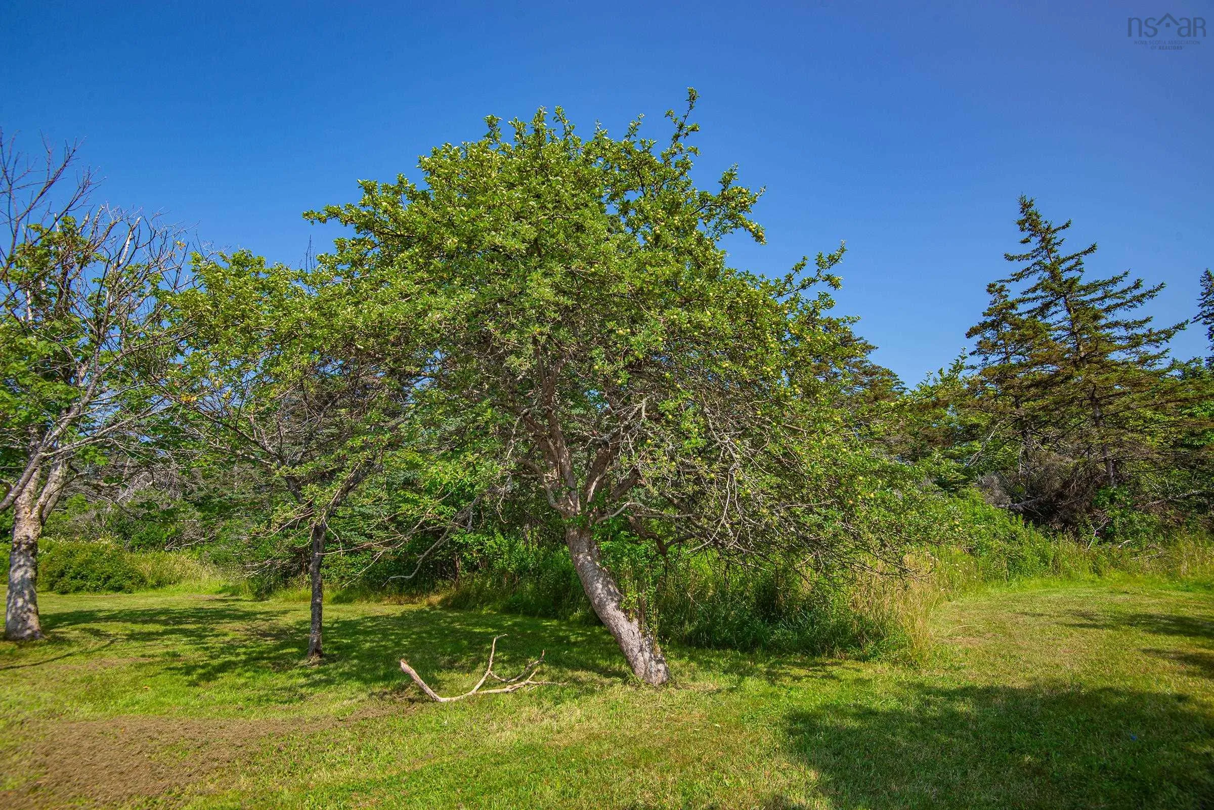 8402 Highway 1, Meteghan, NS B0W 2J0, 3 Bedrooms Bedrooms, ,2 BathroomsBathrooms,Residential,For Sale,Highway 1,202523733