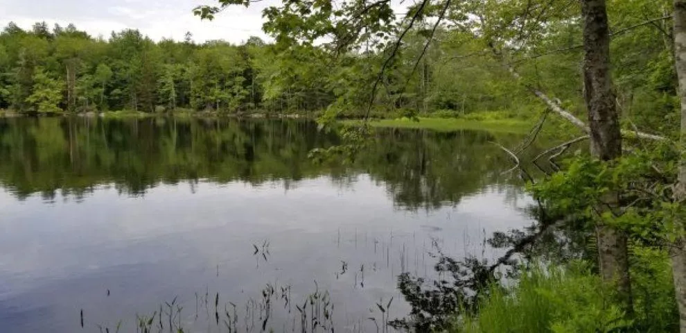 101 Lakeview Drive, Conquerall Mills, NS B4V 6G6, ,Land,For Sale,Lakeview,202519147