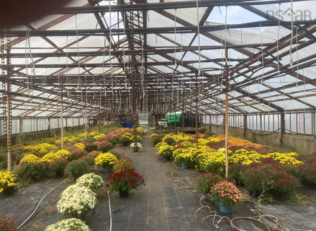 429 Seaview Drive, Upper North Sydney Ns B2a 3n7, ,Commercial Sale,For Sale,Seaview,202428547