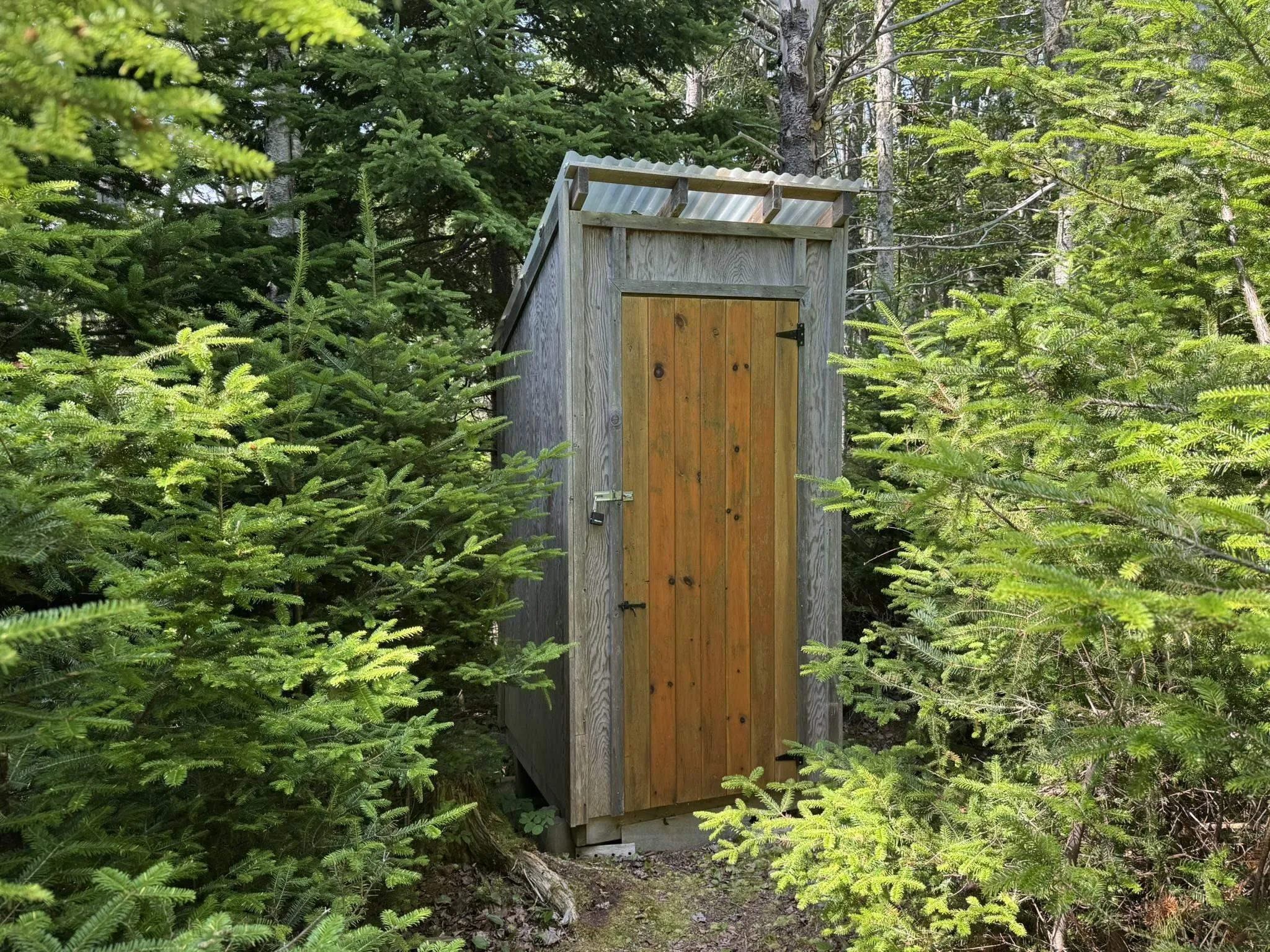 1598 East Port L'hebert Road, East Port Lhebert, NS B0T 1S0, 1 Bedroom Bedrooms, ,1 BathroomBathrooms,Residential,For Sale,East Port L'hebert,202519050