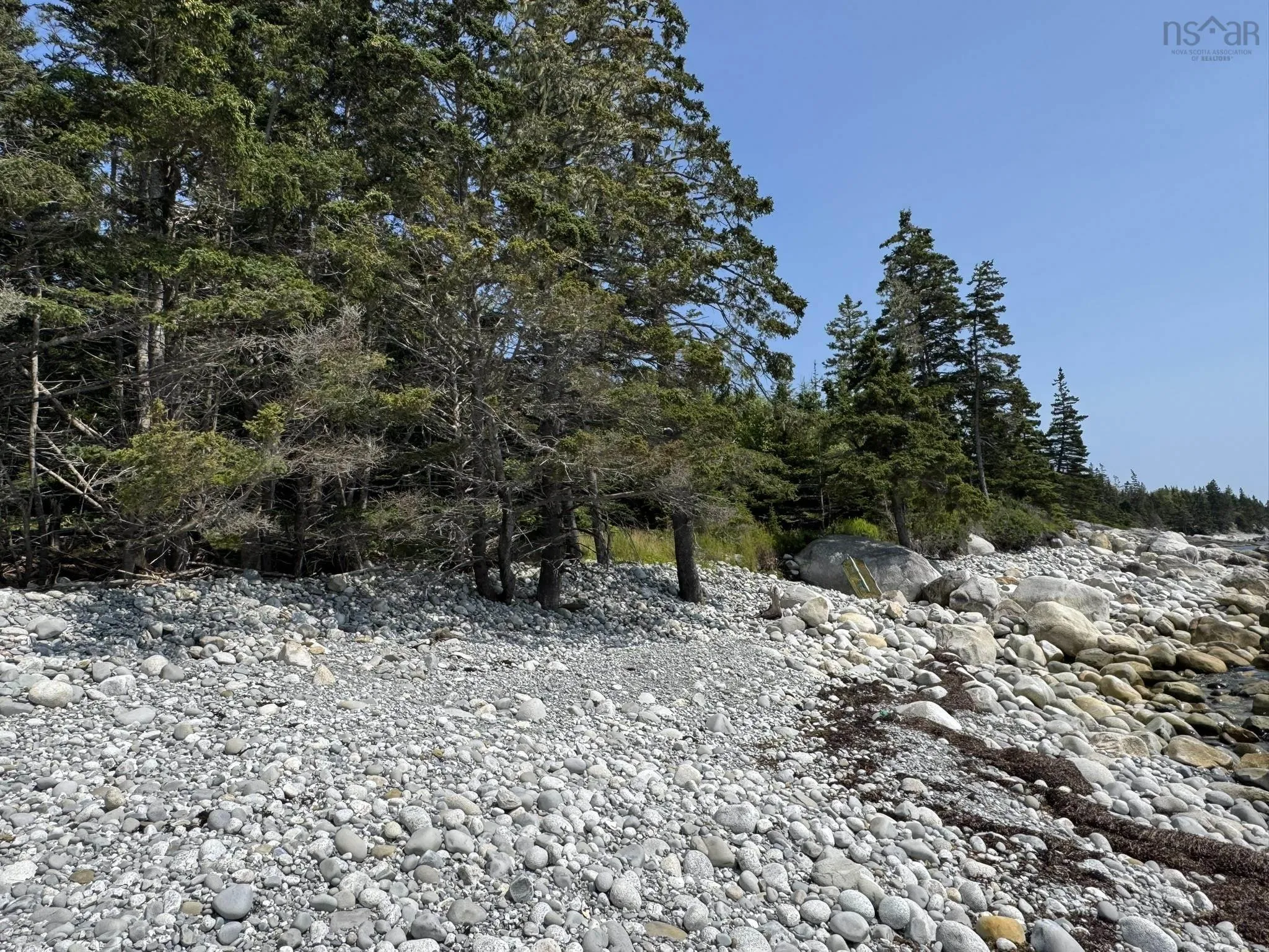 1598 East Port L'hebert Road, East Port Lhebert, NS B0T 1S0, 1 Bedroom Bedrooms, ,1 BathroomBathrooms,Residential,For Sale,East Port L'hebert,202519050