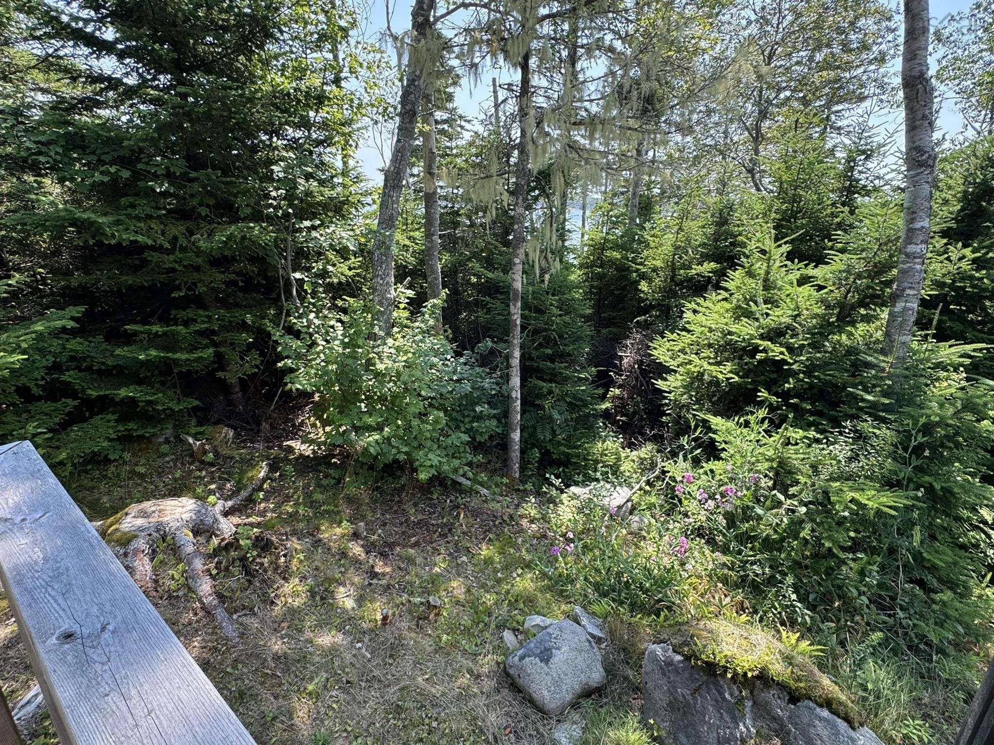 1598 East Port L'hebert Road, East Port Lhebert, NS B0T 1S0, 1 Bedroom Bedrooms, ,1 BathroomBathrooms,Residential,For Sale,East Port L'hebert,202519050