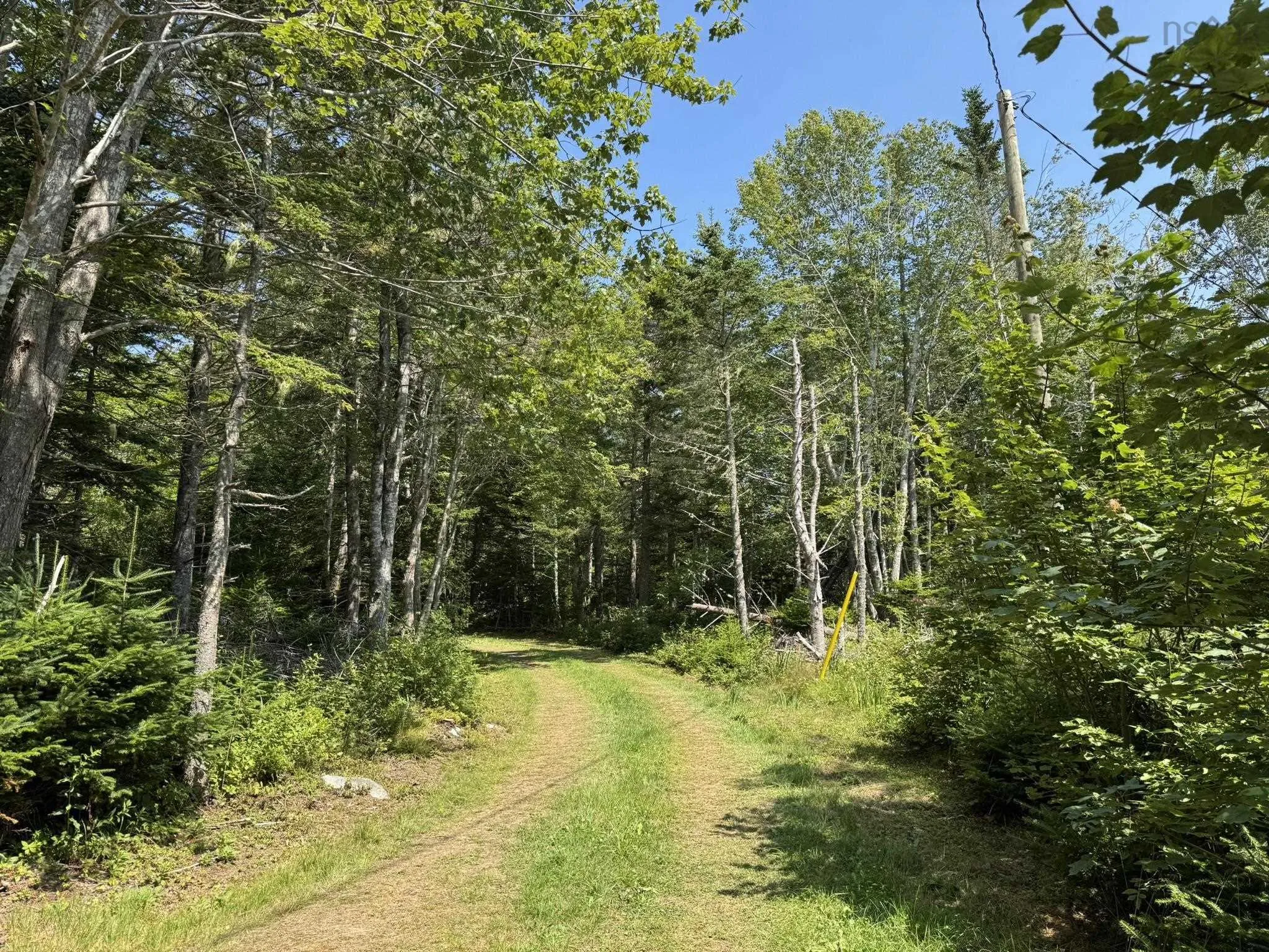1598 East Port L'hebert Road, East Port Lhebert, NS B0T 1S0, 1 Bedroom Bedrooms, ,1 BathroomBathrooms,Residential,For Sale,East Port L'hebert,202519050