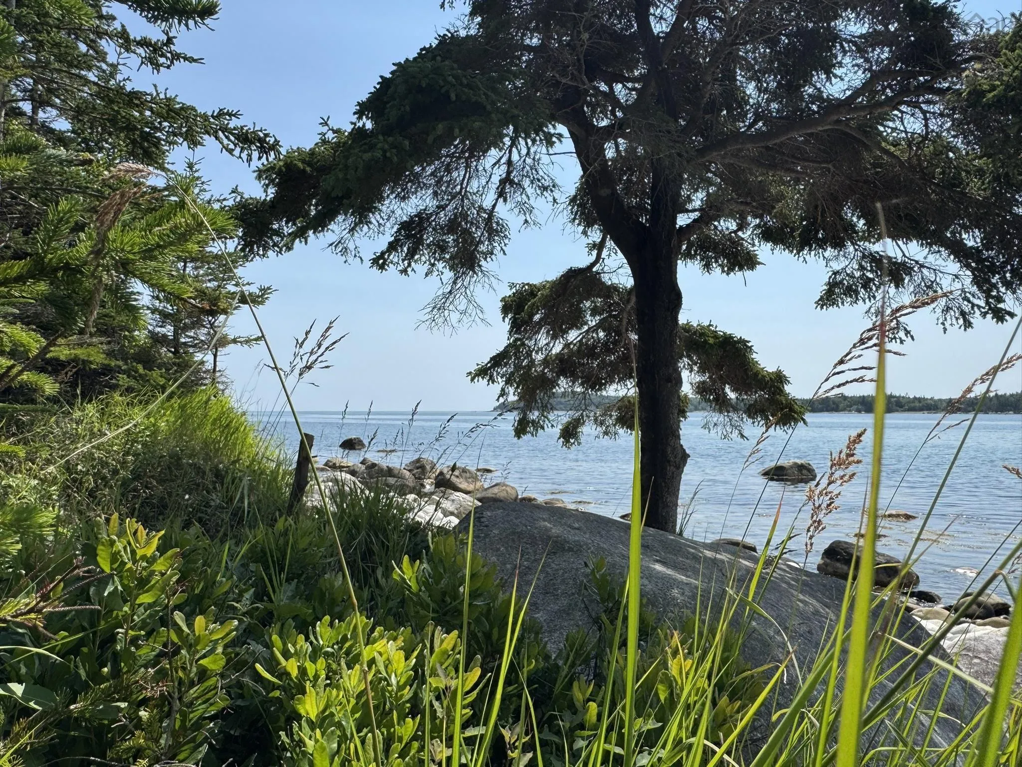 1598 East Port L'hebert Road, East Port Lhebert, NS B0T 1S0, 1 Bedroom Bedrooms, ,1 BathroomBathrooms,Residential,For Sale,East Port L'hebert,202519050