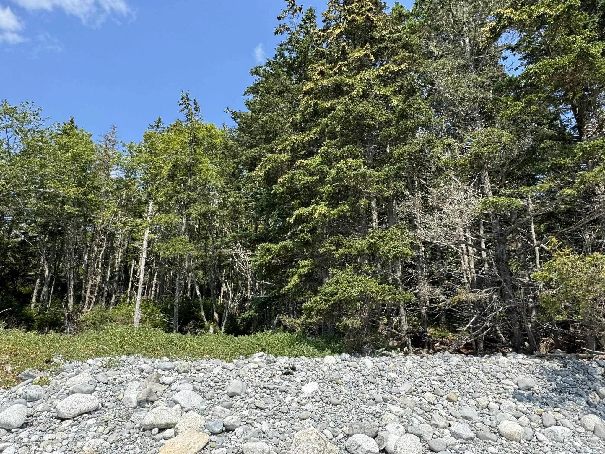 1598 East Port L'hebert Road, East Port Lhebert, NS B0T 1S0, 1 Bedroom Bedrooms, ,1 BathroomBathrooms,Residential,For Sale,East Port L'hebert,202519050