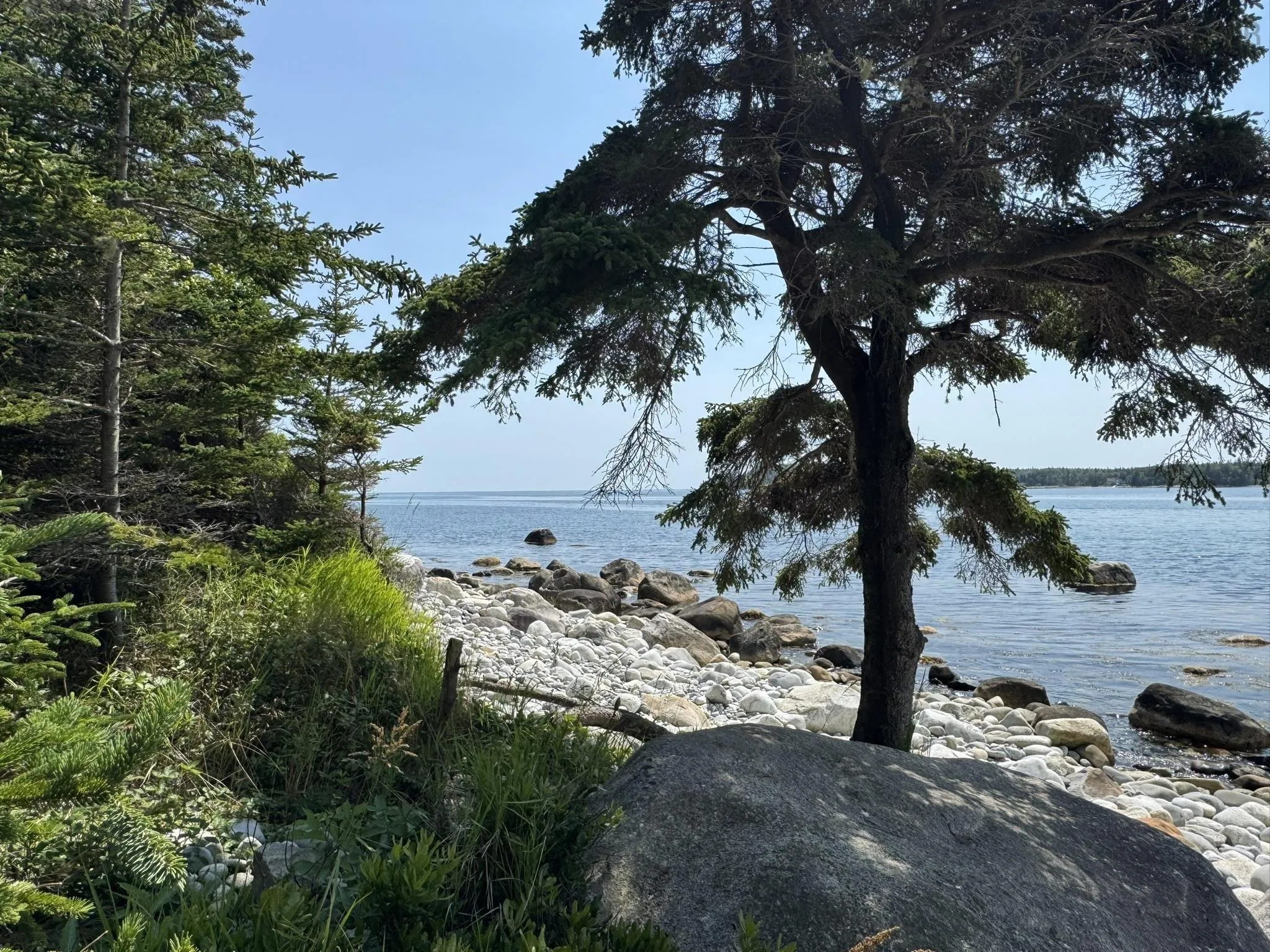1598 East Port L'hebert Road, East Port Lhebert, NS B0T 1S0, 1 Bedroom Bedrooms, ,1 BathroomBathrooms,Residential,For Sale,East Port L'hebert,202519050