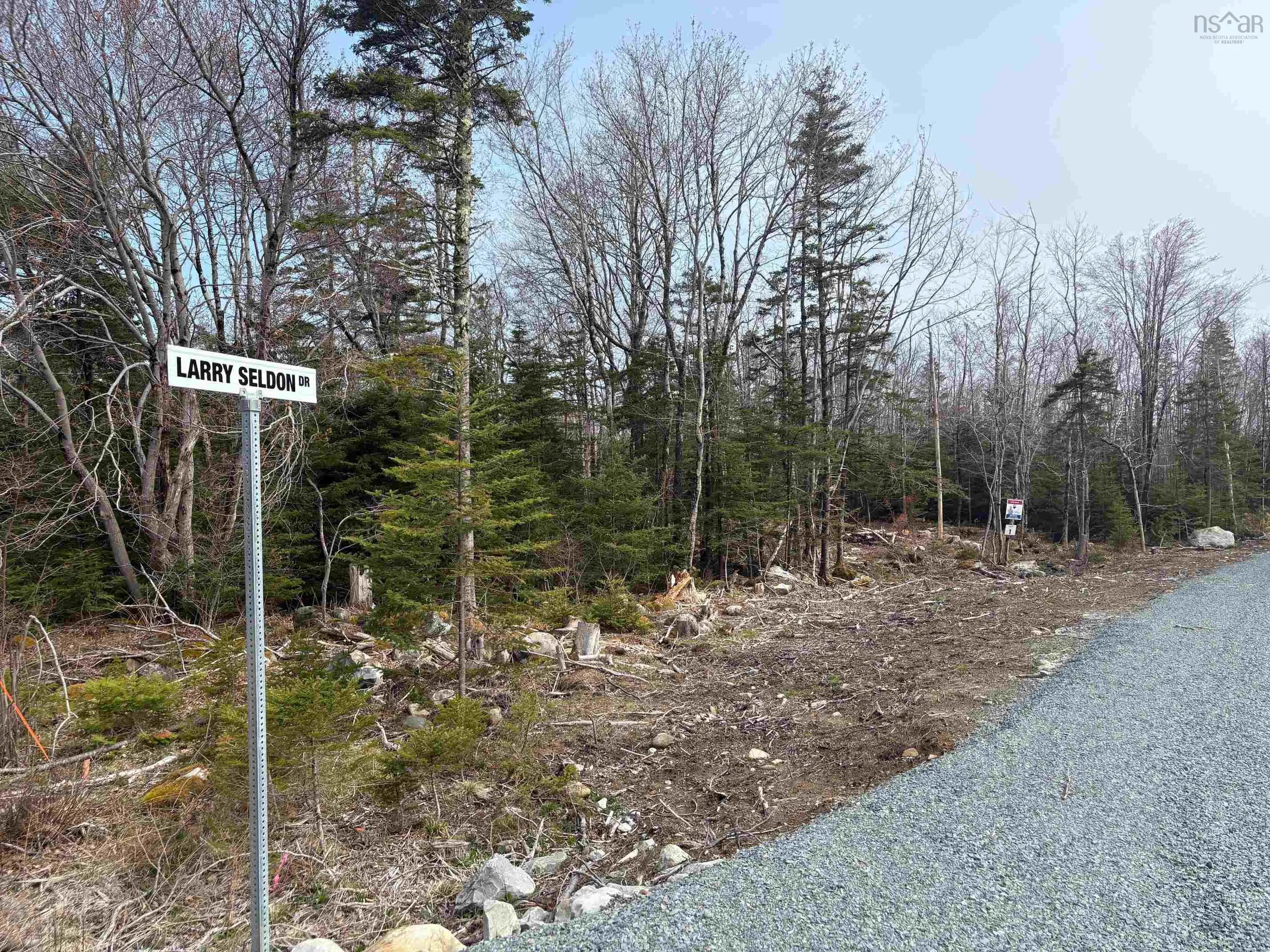 Larry Seldon Lane Lot 6, Western Head, NS B0T 1K0, ,Land,For Sale,Larry Seldon,202427640