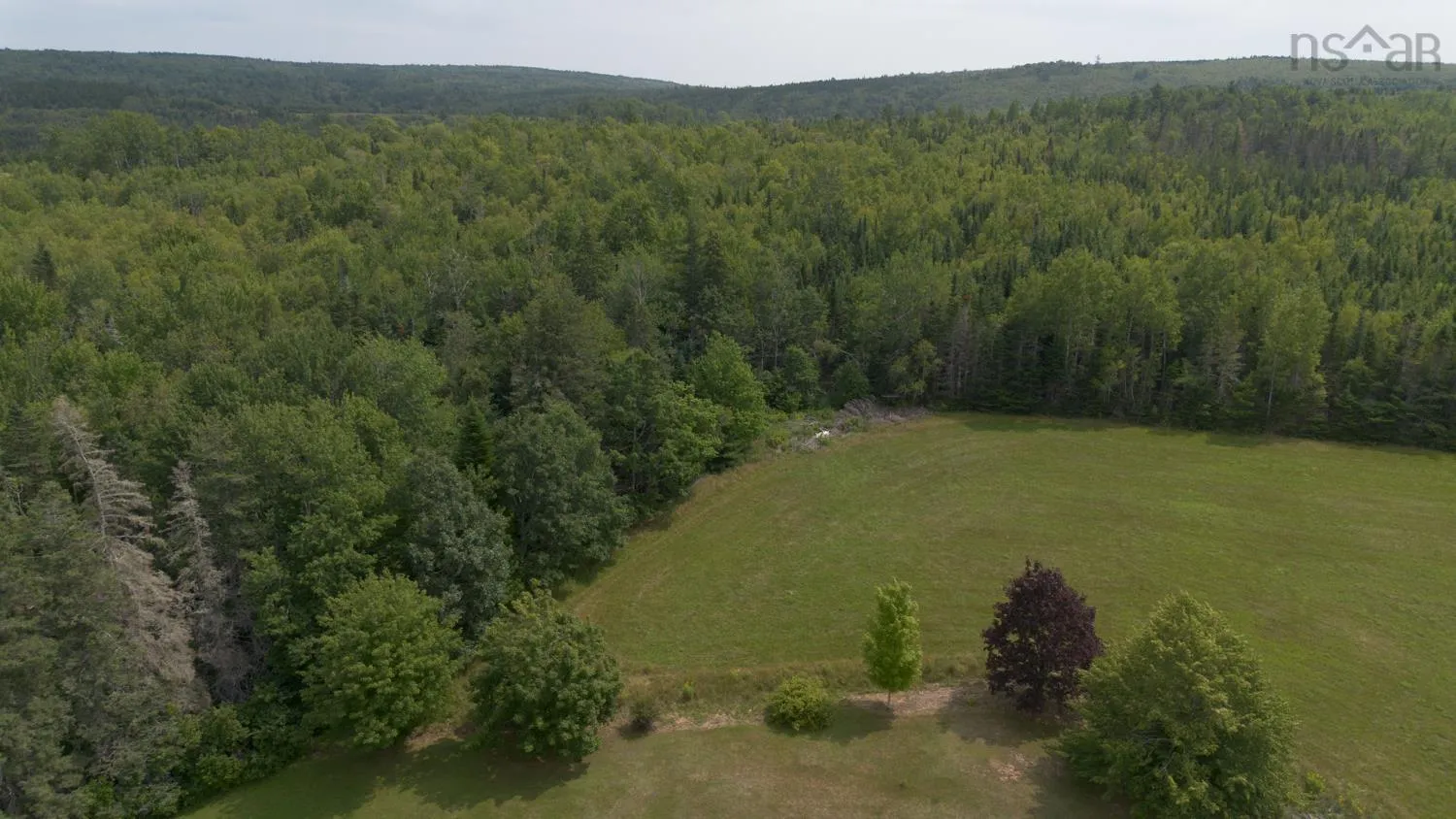 1332 Meadowvale Road, Meadowvale, NS B0N 2P0, 3 Bedrooms Bedrooms, ,2 BathroomsBathrooms,Residential,For Sale,Meadowvale,202514771