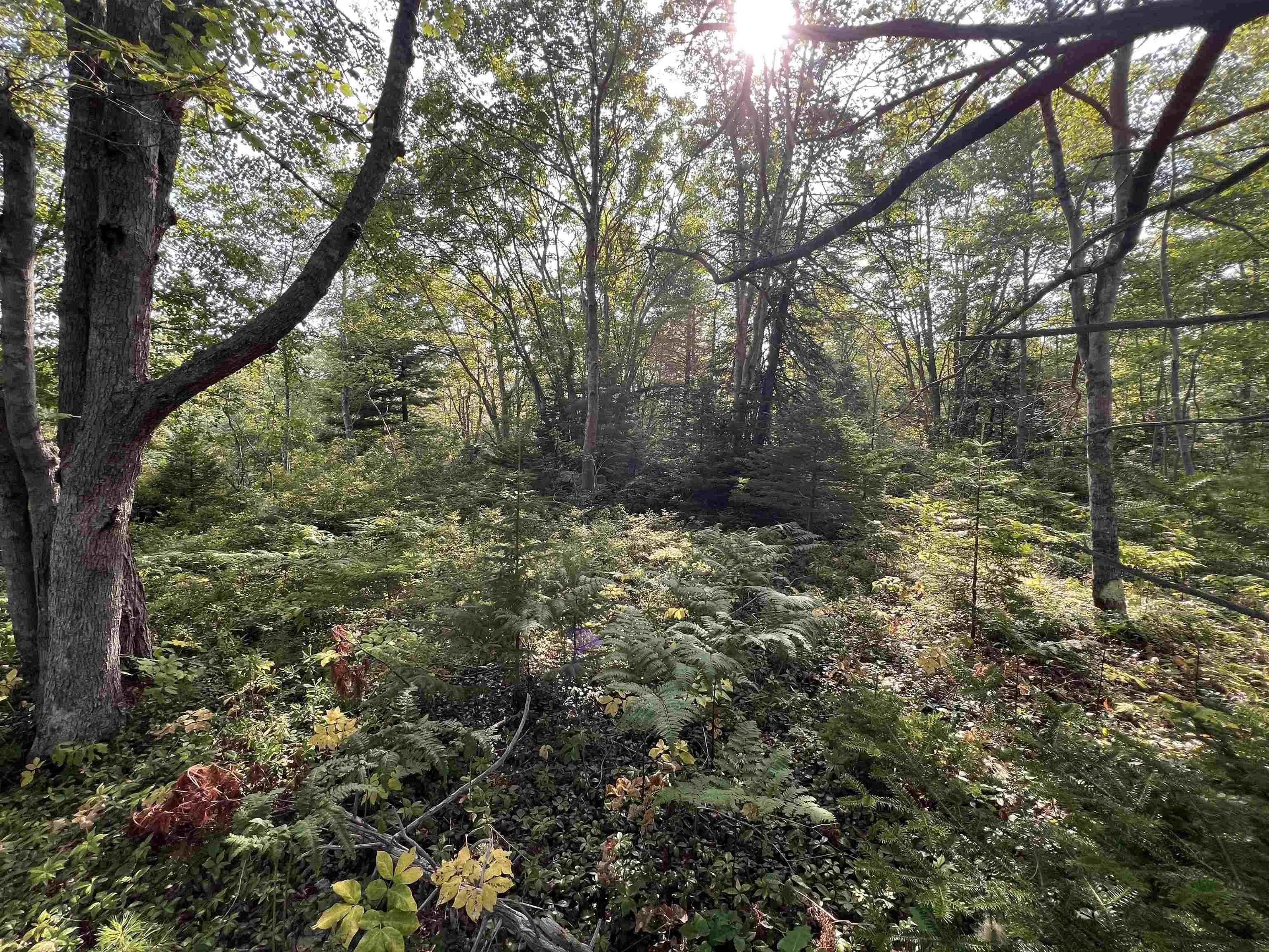 Pid#70169388 Port Medway Road, Port Medway, NS B0J 2T0, ,Land,For Sale,Pid#70169388 Port Medway,202521522