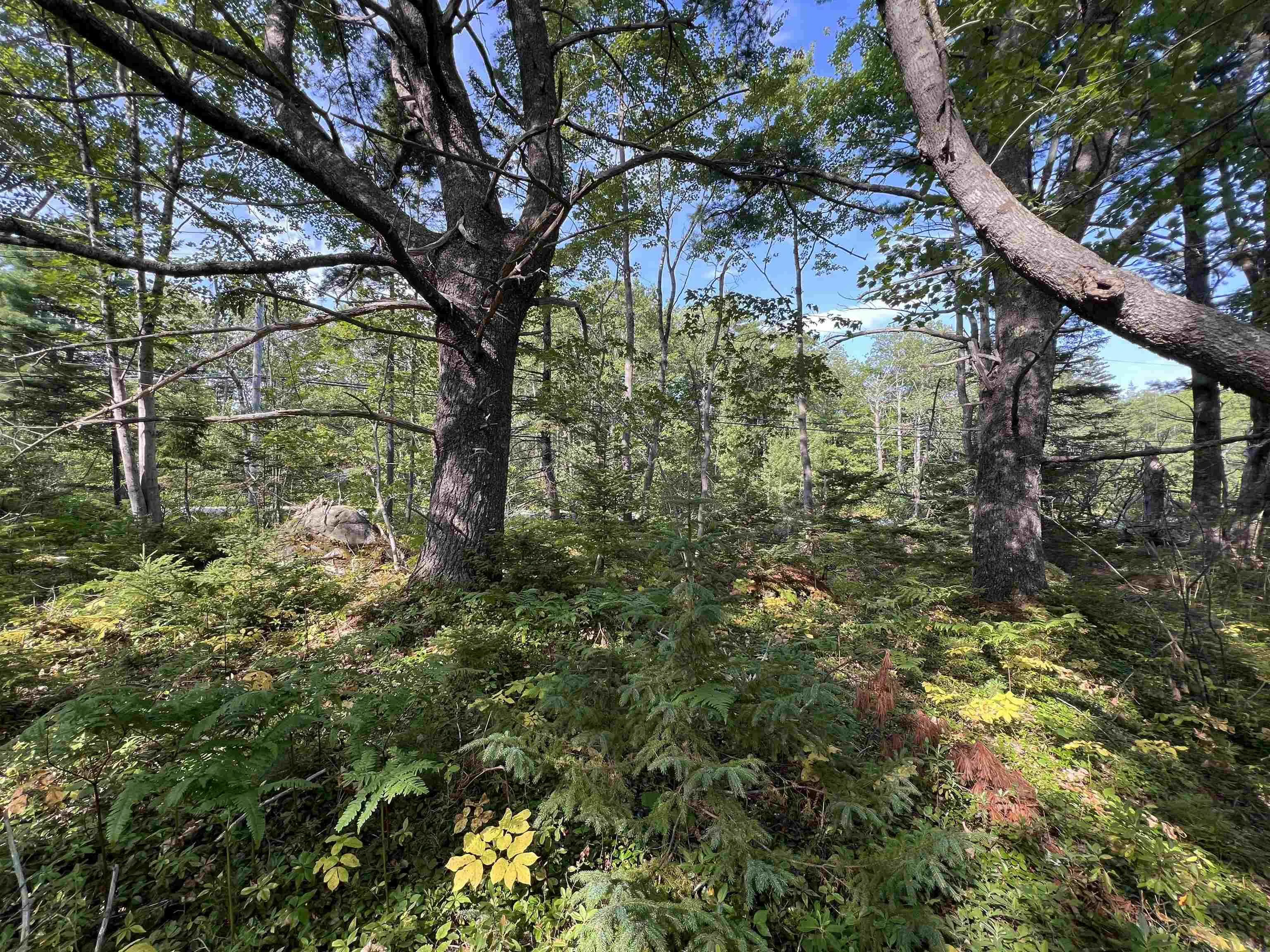 Pid#70169388 Port Medway Road, Port Medway, NS B0J 2T0, ,Land,For Sale,Pid#70169388 Port Medway,202521522