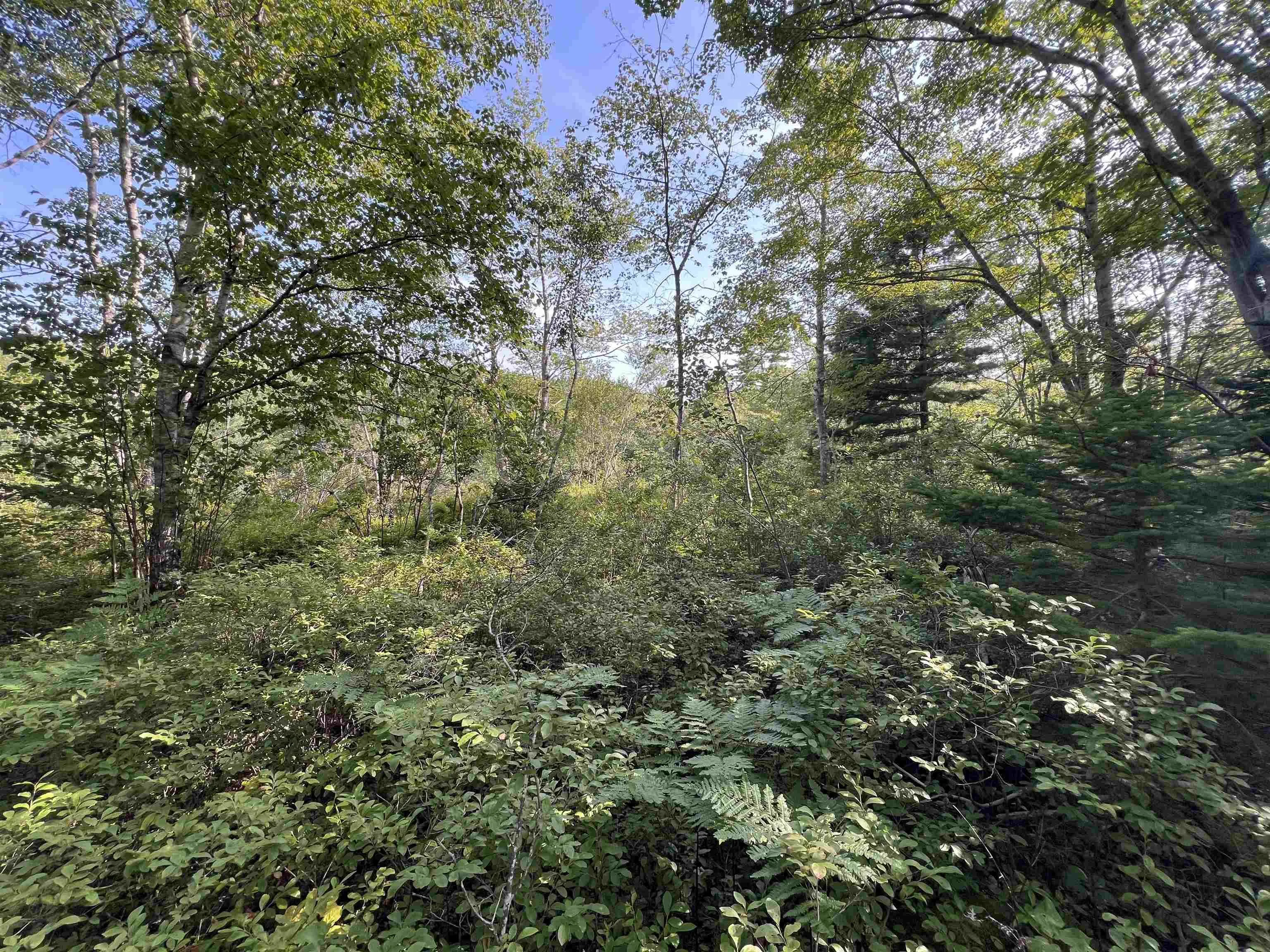 Pid#70169388 Port Medway Road, Port Medway, NS B0J 2T0, ,Land,For Sale,Pid#70169388 Port Medway,202521522