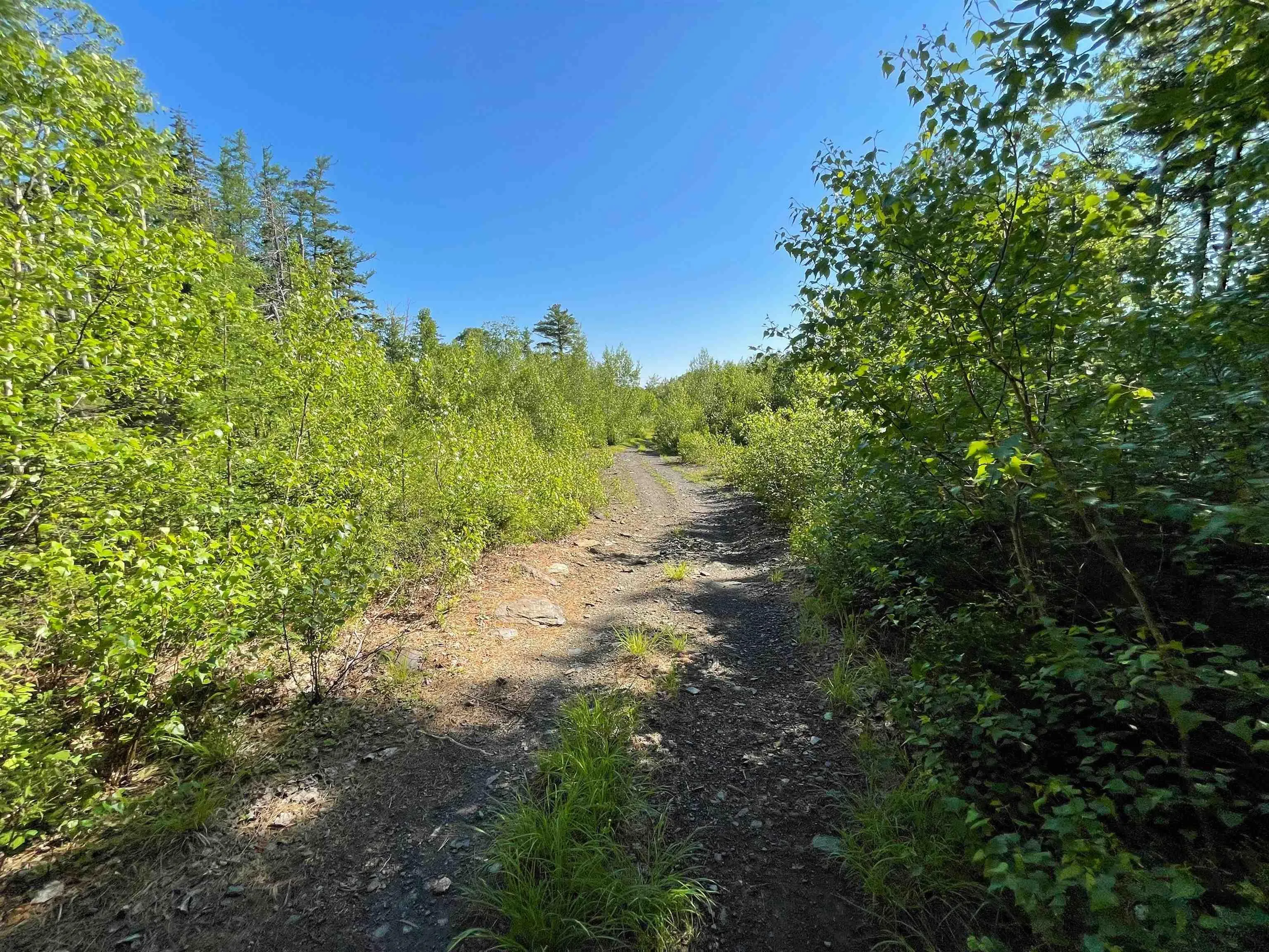 Highway 103, Hebbville, NS B4V 0Z3, ,Land,For Sale,Highway 103,202522683