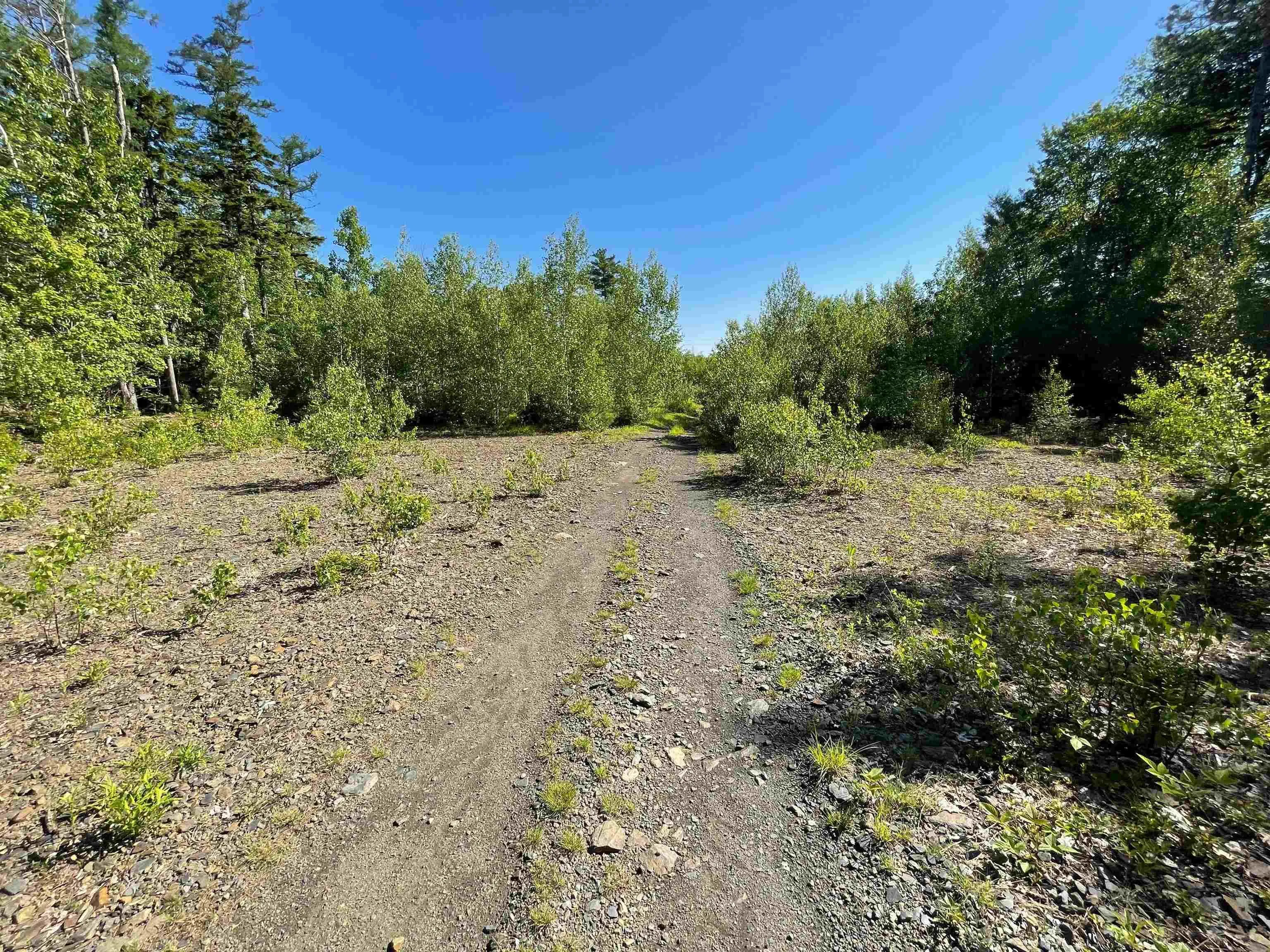 Highway 103, Hebbville, NS B4V 0Z3, ,Land,For Sale,Highway 103,202522683