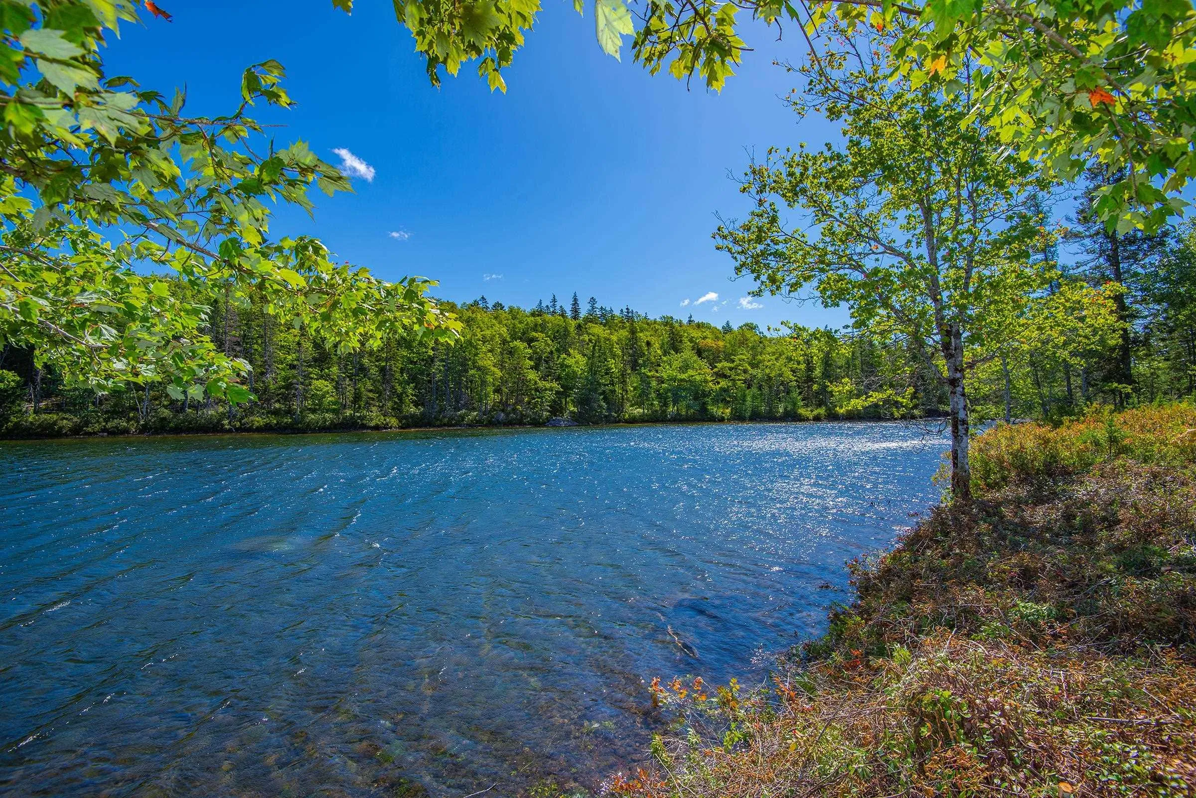 180 John Cook Road, Gardners Mills Ns B5a 5n5, 2 Bedrooms Bedrooms, ,Residential,For Sale,John Cook,202421432