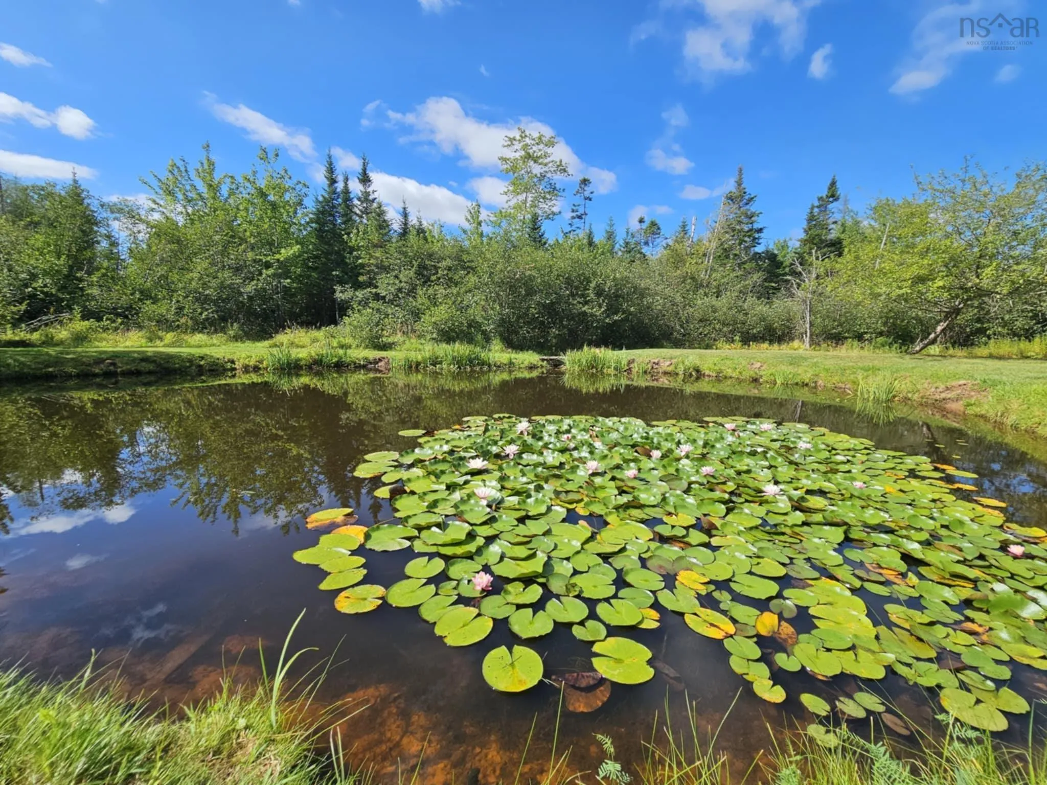 291 Crowes Mills Road, Crowes Mills, NS B6L 5B1, 3 Bedrooms Bedrooms, ,1 BathroomBathrooms,Residential,For Sale,Crowes Mills,202521019