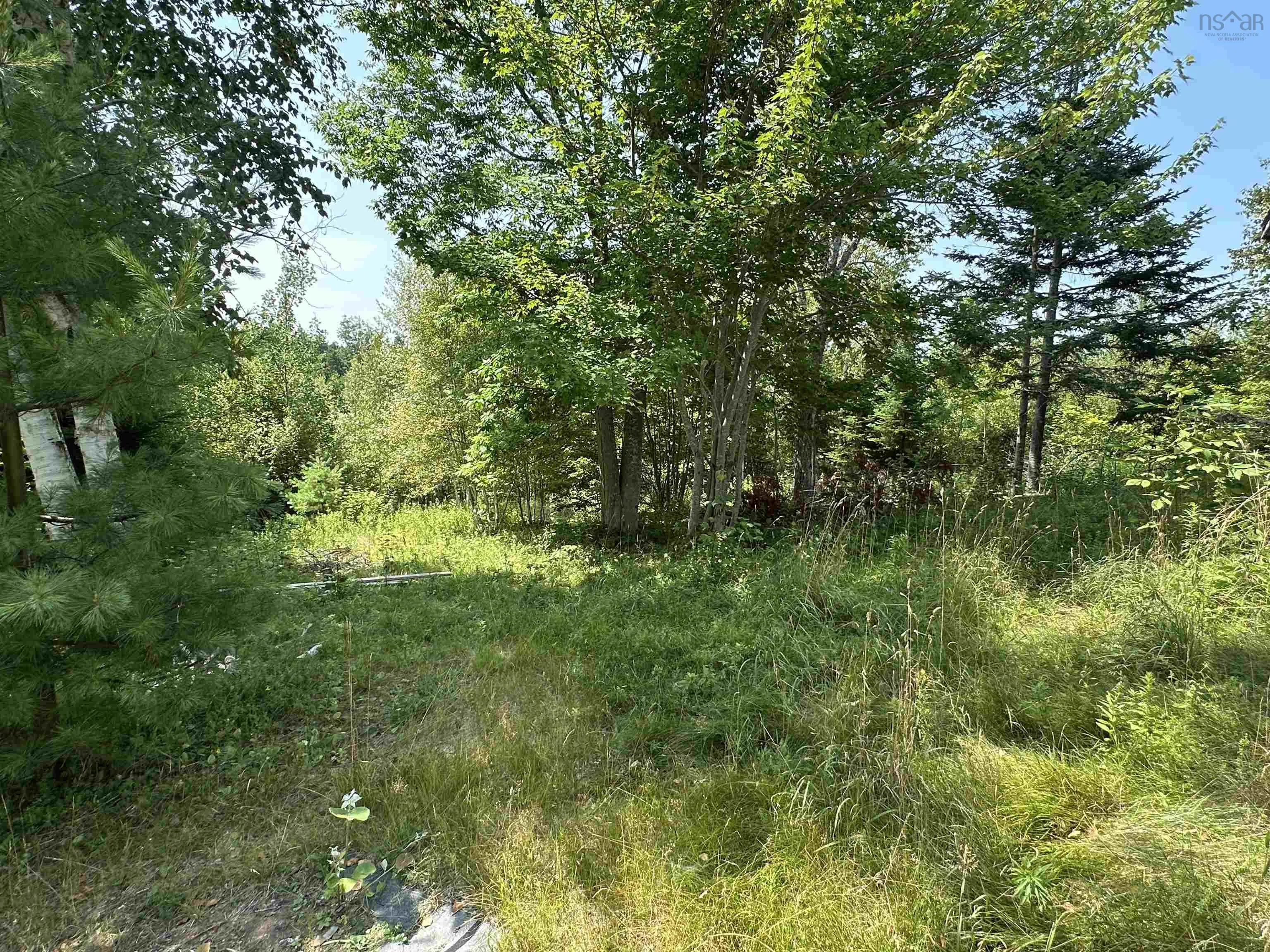 2272 French River Road, French River, NS B0K 1G0, 4 Bedrooms Bedrooms, ,1 BathroomBathrooms,Residential,For Sale,French River,202519122