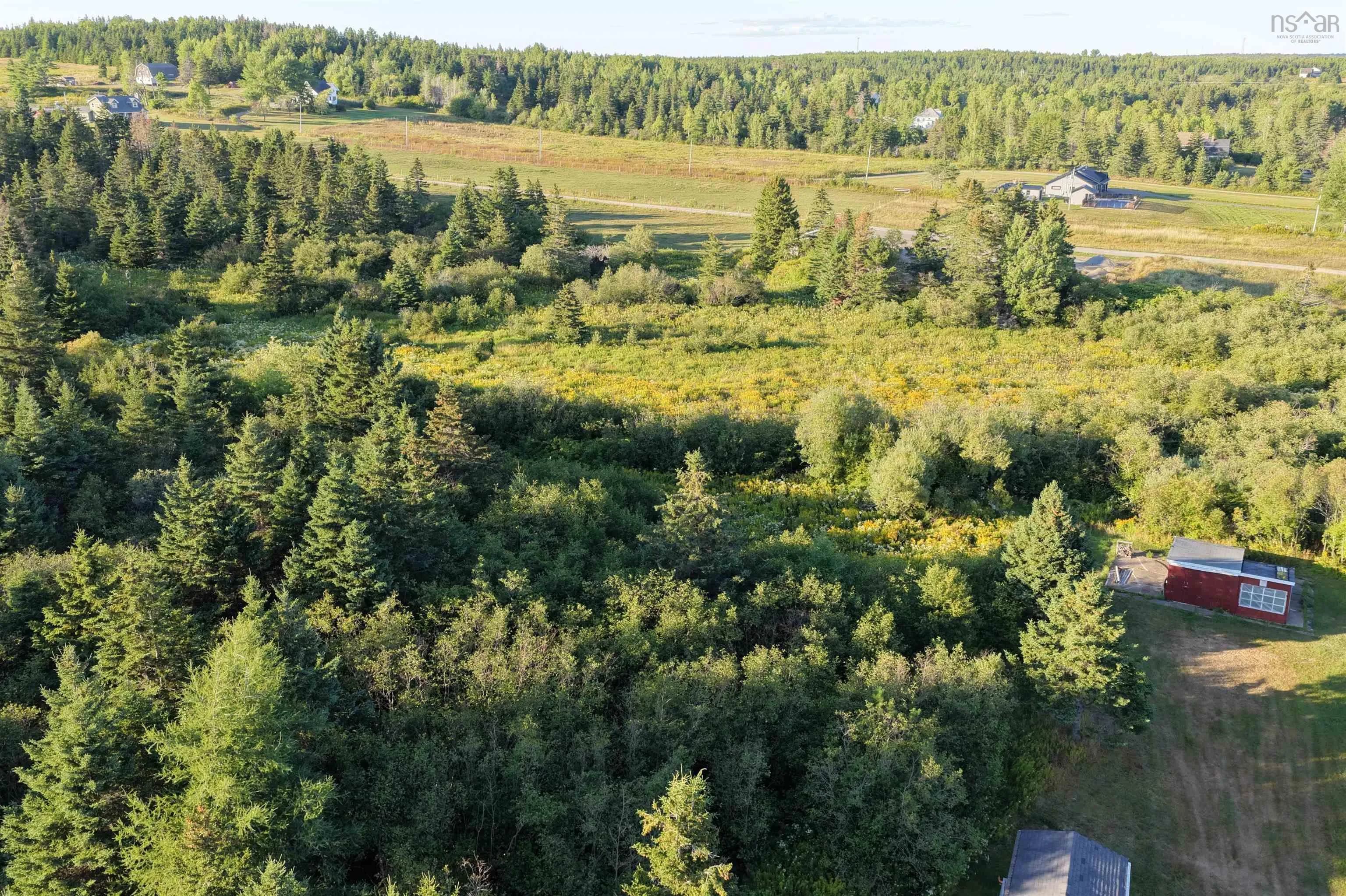 Mountain Road, Coxheath, NS B1L 1A9, ,Land,For Sale,Mountain Road, Coxheath, Ns,202521979