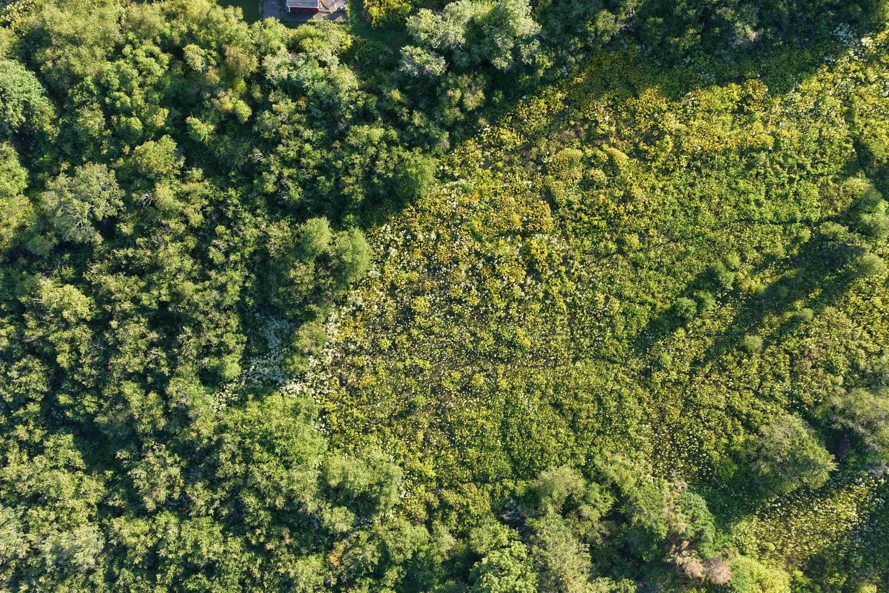 Mountain Road, Coxheath, NS B1L 1A9, ,Land,For Sale,Mountain Road, Coxheath, Ns,202521979