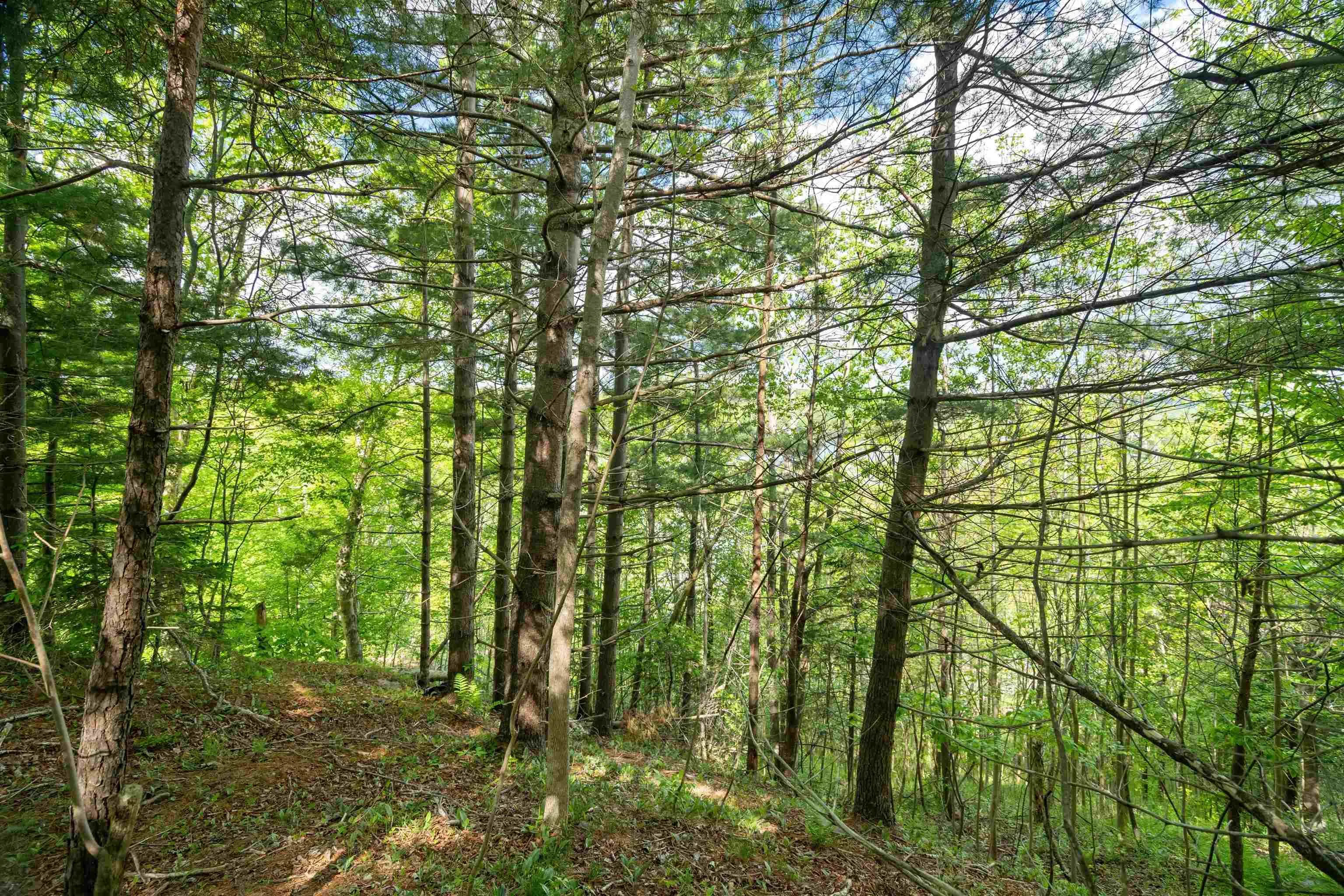 27 Copperhead Road, Fall River Ns B2t 1w2, ,Land,For Sale,Copperhead,202412607