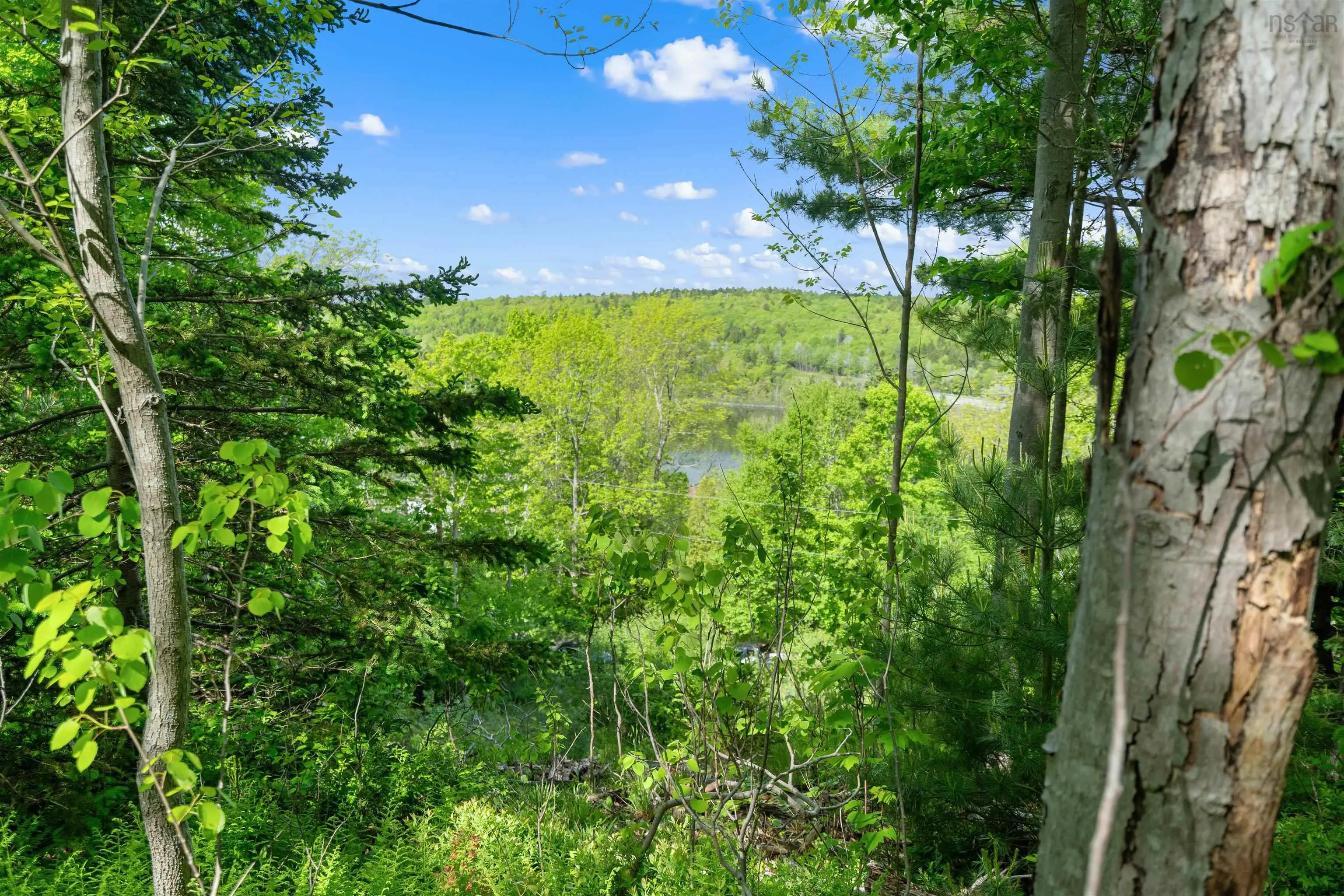 27 Copperhead Road, Fall River Ns B2t 1w2, ,Land,For Sale,Copperhead,202412607