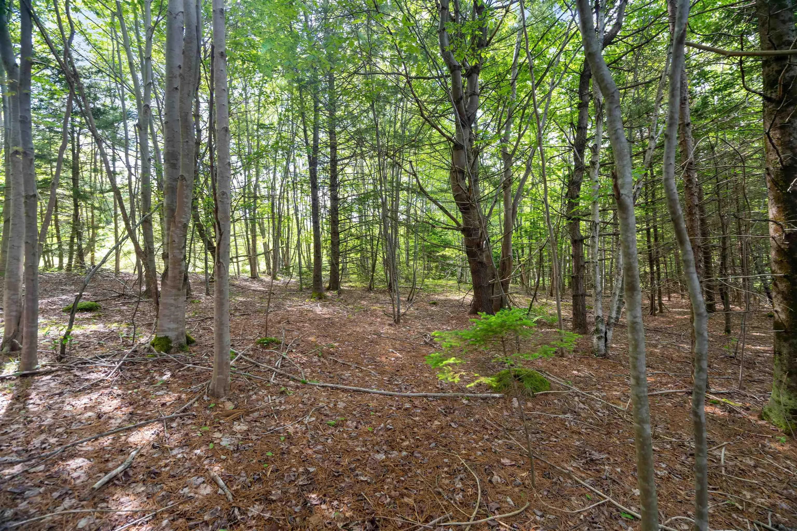 27 Copperhead Road, Fall River Ns B2t 1w2, ,Land,For Sale,Copperhead,202412607