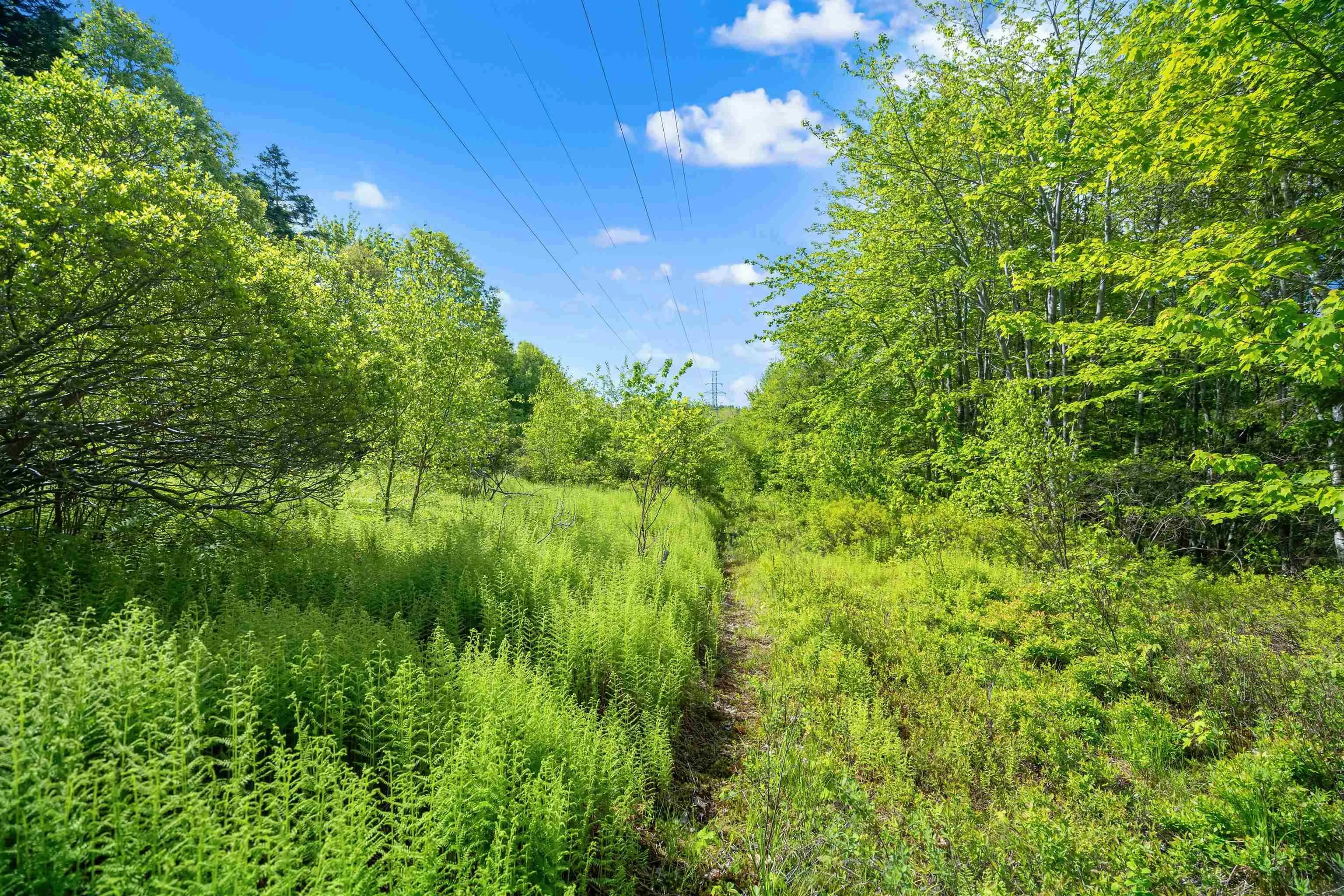 27 Copperhead Road, Fall River Ns B2t 1w2, ,Land,For Sale,Copperhead,202412607