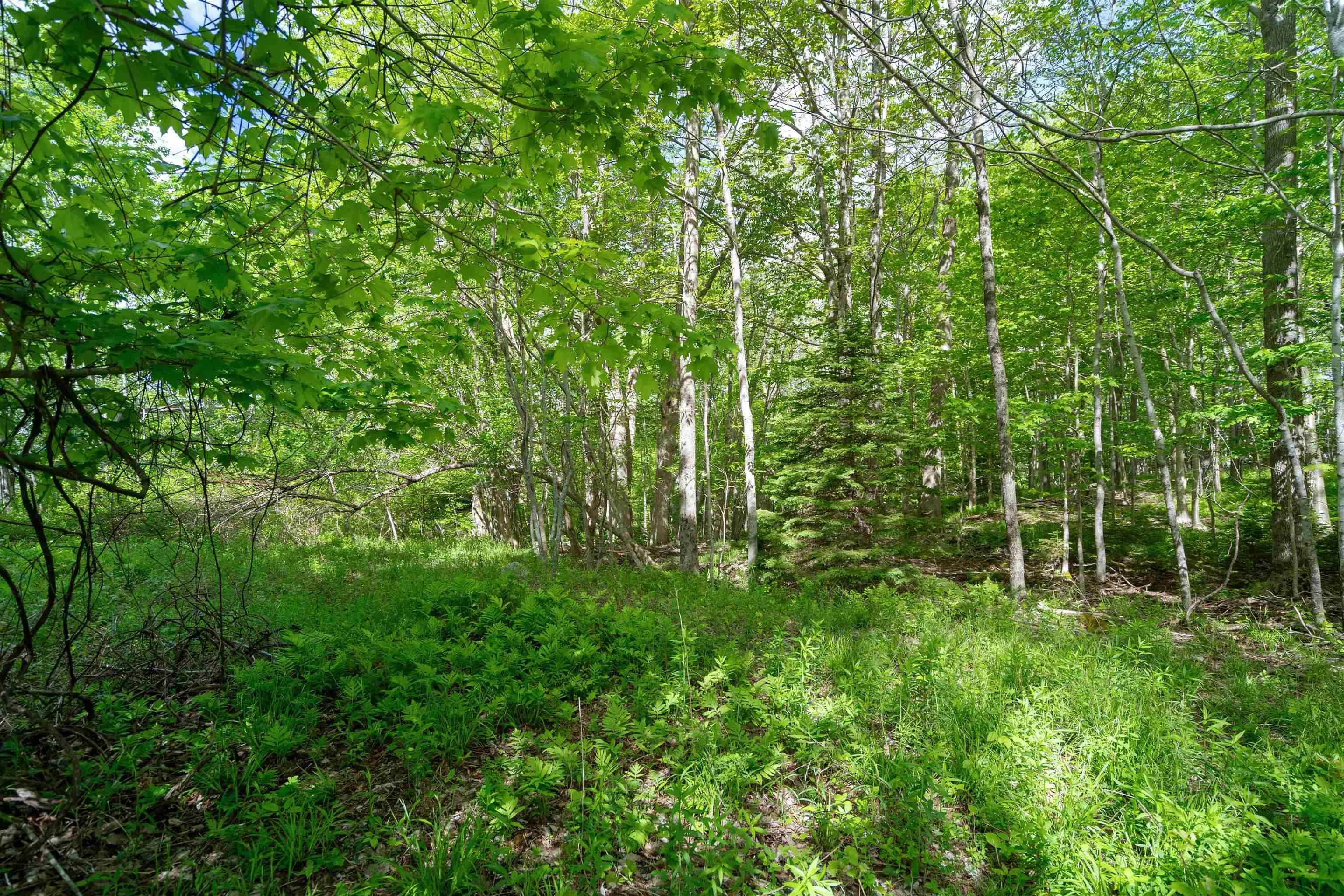 27 Copperhead Road, Fall River Ns B2t 1w2, ,Land,For Sale,Copperhead,202412607