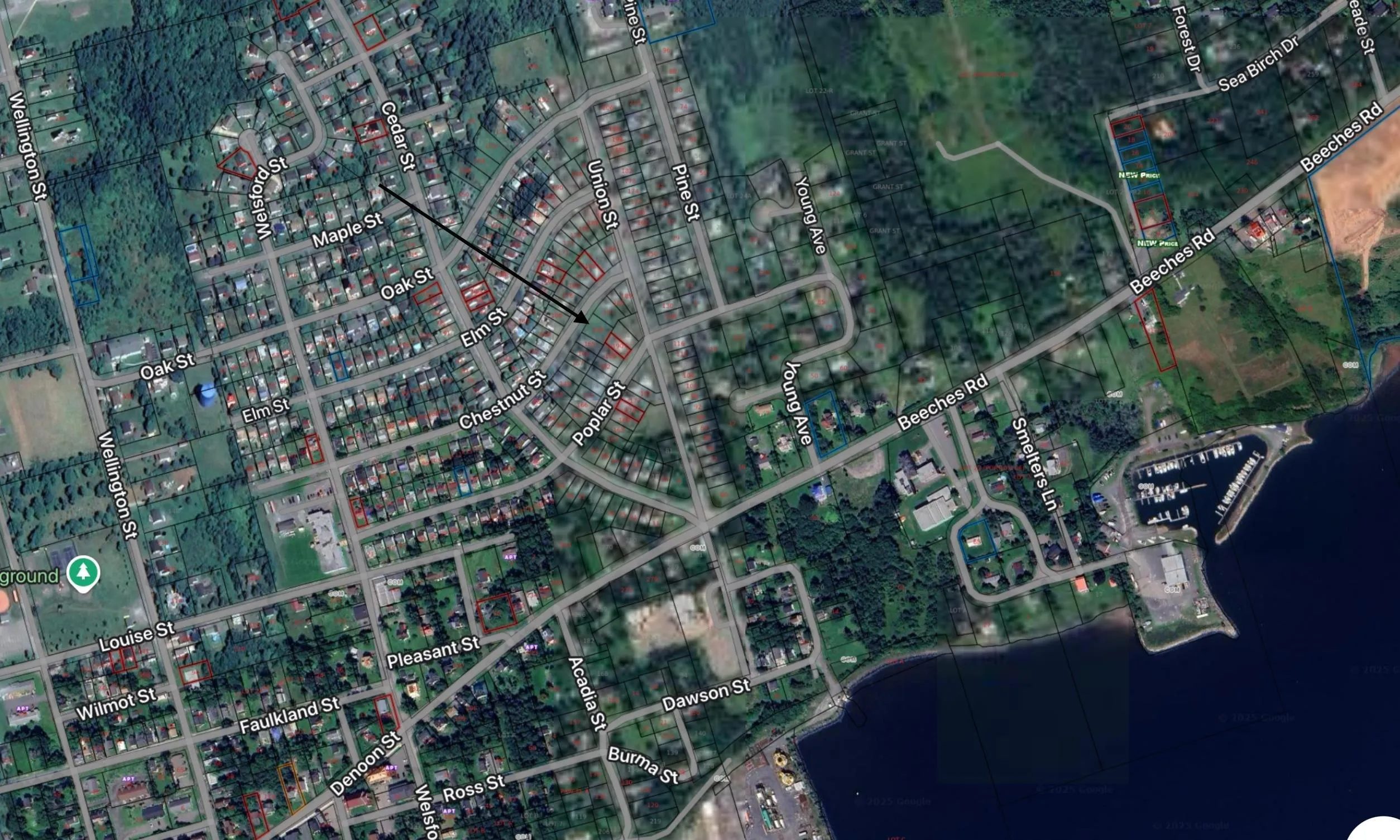 169 Chestnut Street, Pictou, NS B0K 1H0, ,Land,For Sale,Chestnut Street,202518289