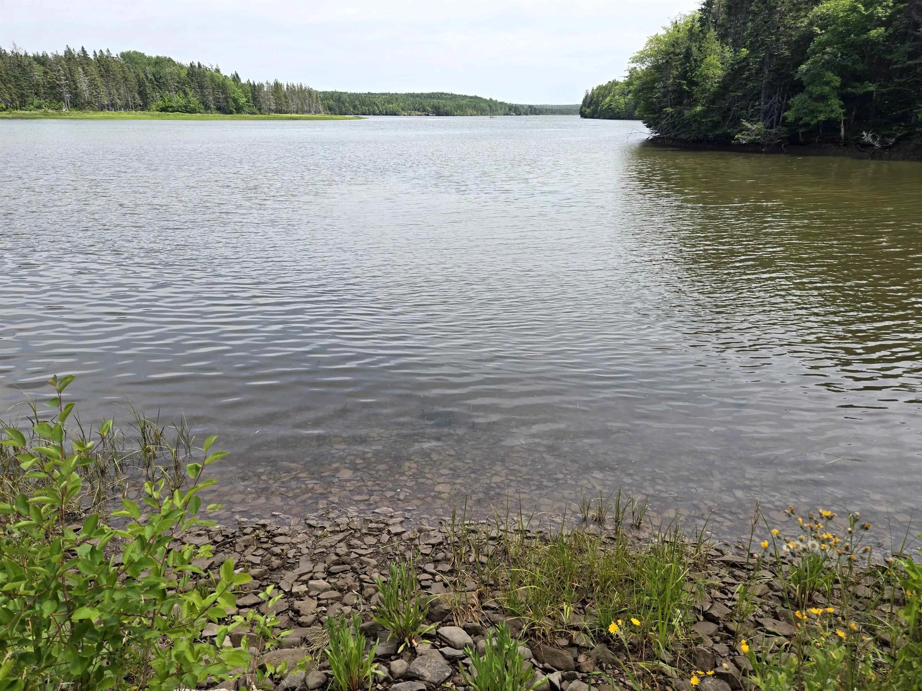 543 Lower River Road, Grantville, NS B0E 1J0, 2 Bedrooms Bedrooms, ,1 BathroomBathrooms,Residential,For Sale,Lower River,202518160