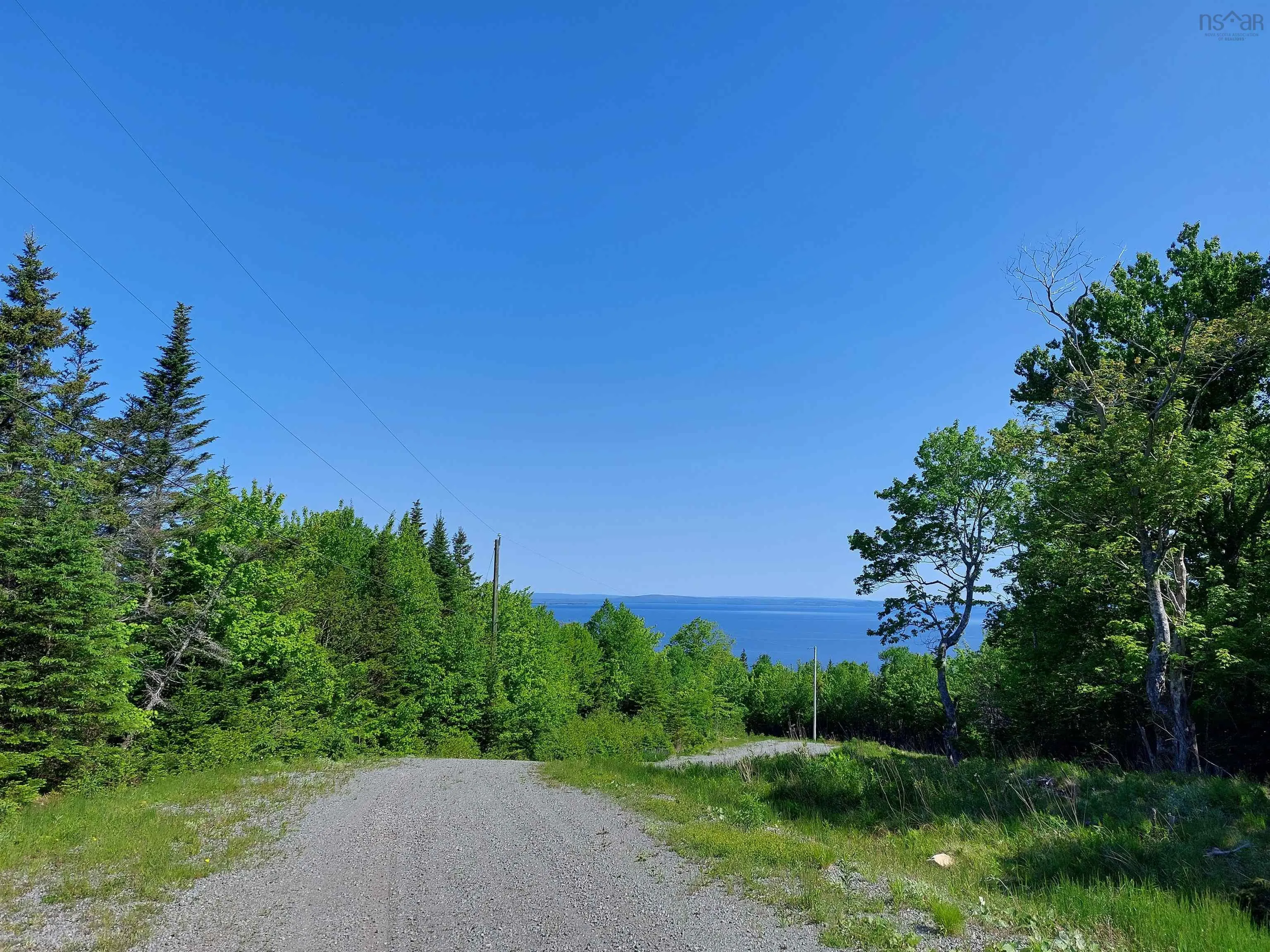 Lot 9 Leo's Lane, Roberta, NS B0E 3K0, ,Land,For Sale,Leo's Lane,202519467