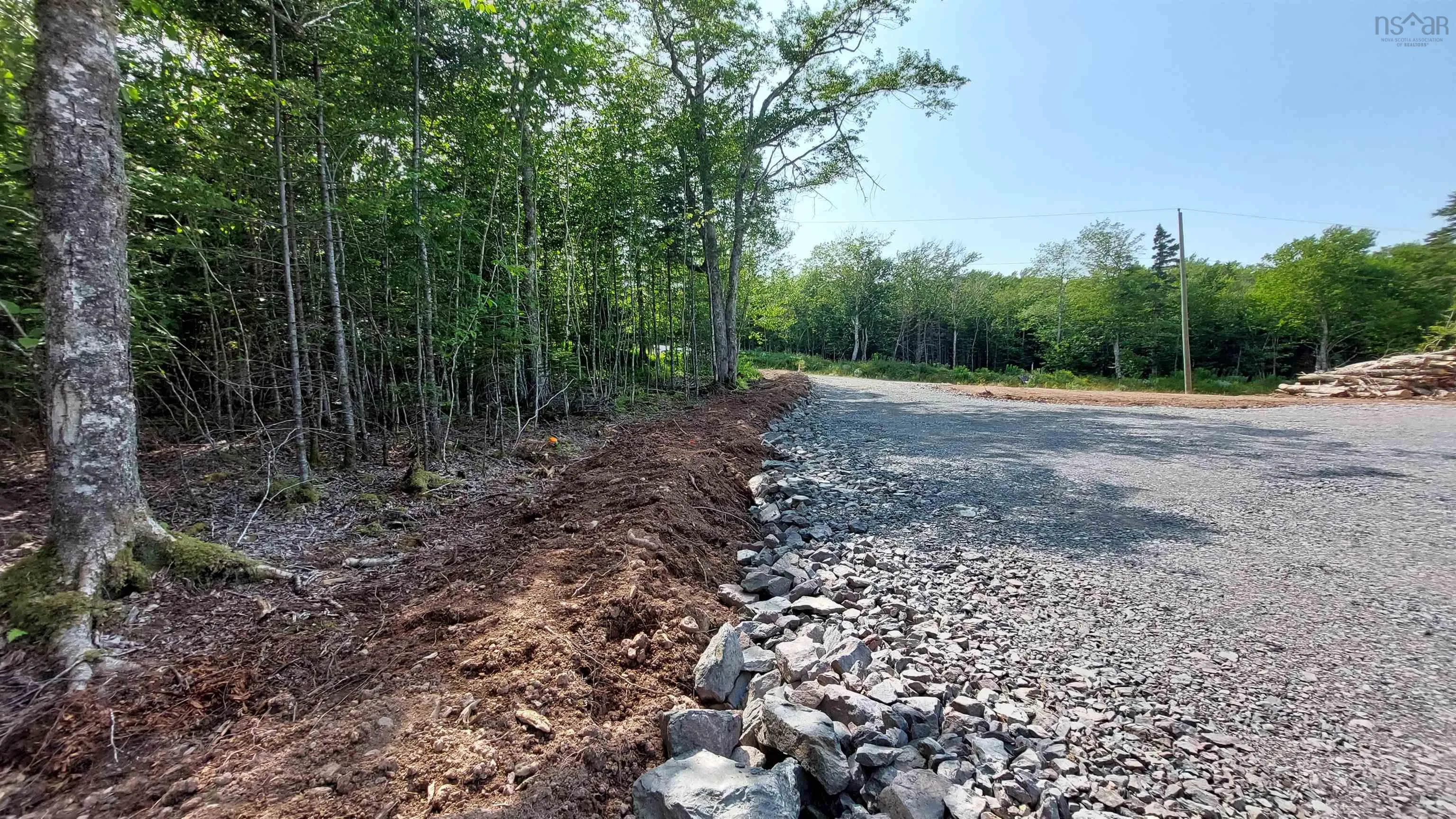 Lot 9 Leo's Lane, Roberta, NS B0E 3K0, ,Land,For Sale,Leo's Lane,202519467