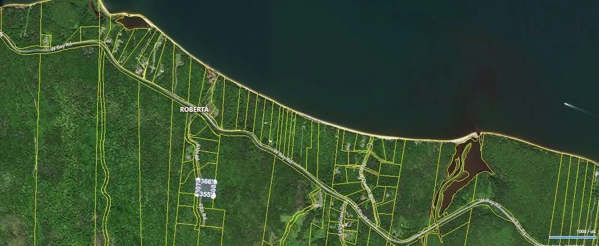 Lot 9 Leo's Lane, Roberta, NS B0E 3K0, ,Land,For Sale,Leo's Lane,202519467