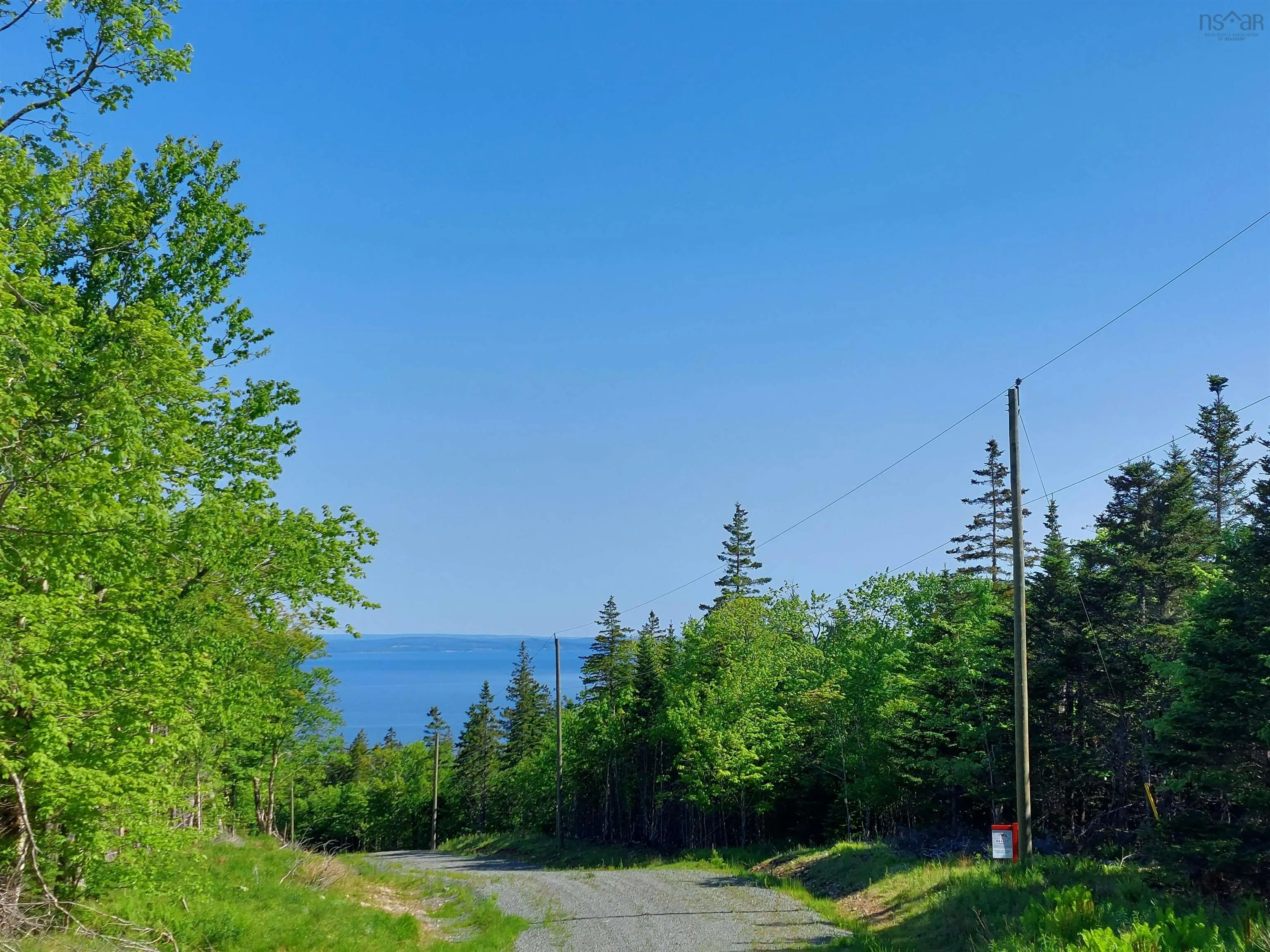 Lot 9 Leo's Lane, Roberta, NS B0E 3K0, ,Land,For Sale,Leo's Lane,202519467