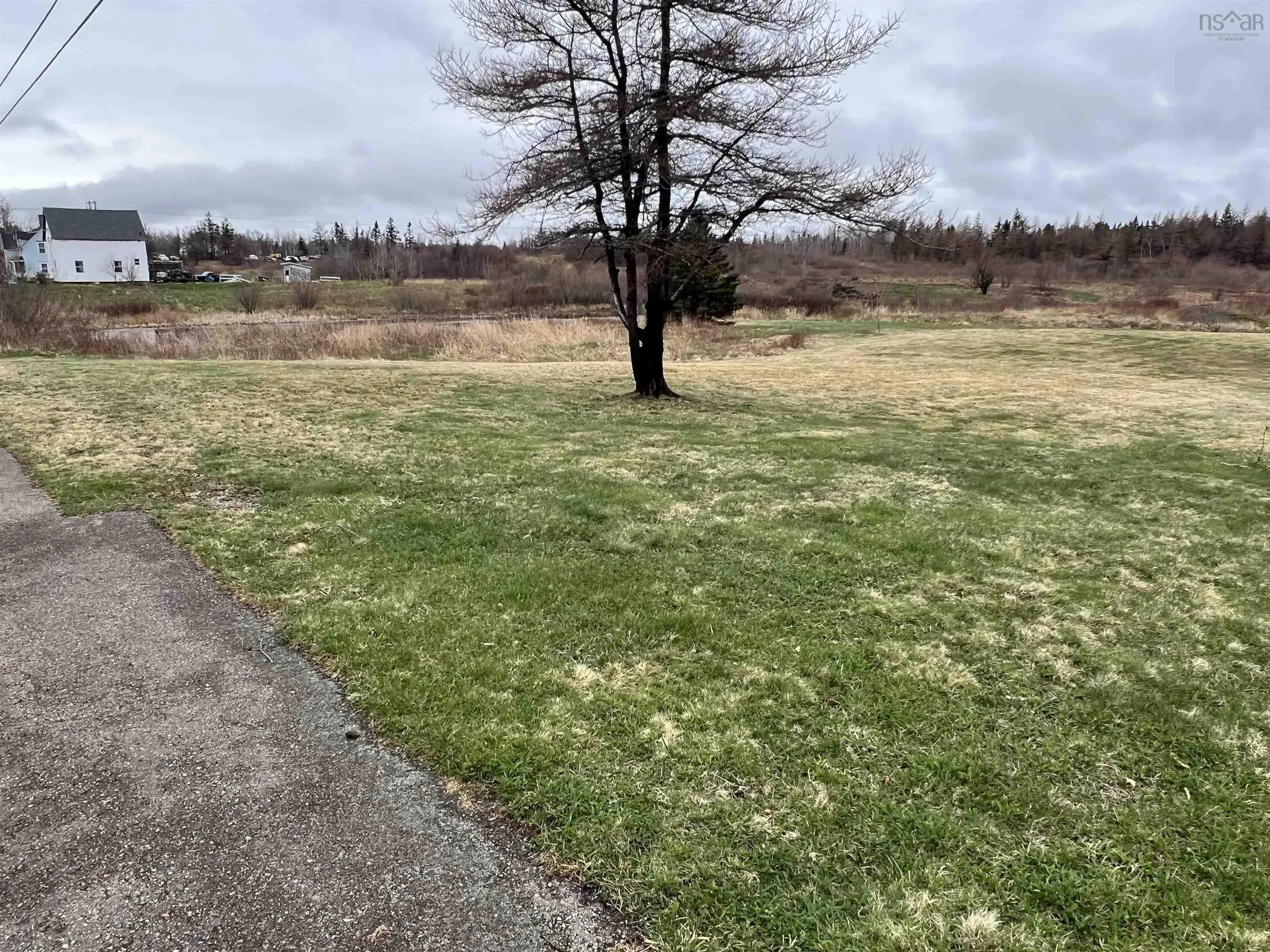 Neville Street, Reserve Mines, NS B1E 1G5, ,Land,For Sale,Neville,202513376