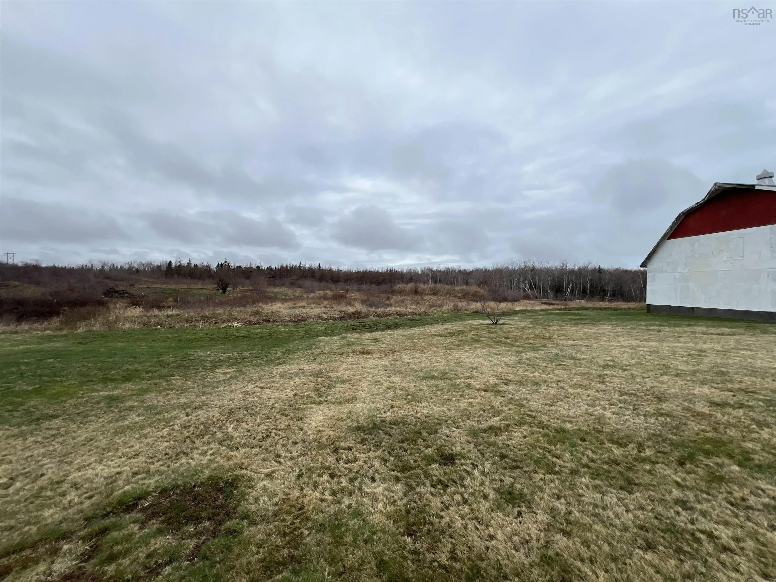 Neville Street, Reserve Mines, NS B1E 1G5, ,Land,For Sale,Neville,202513376