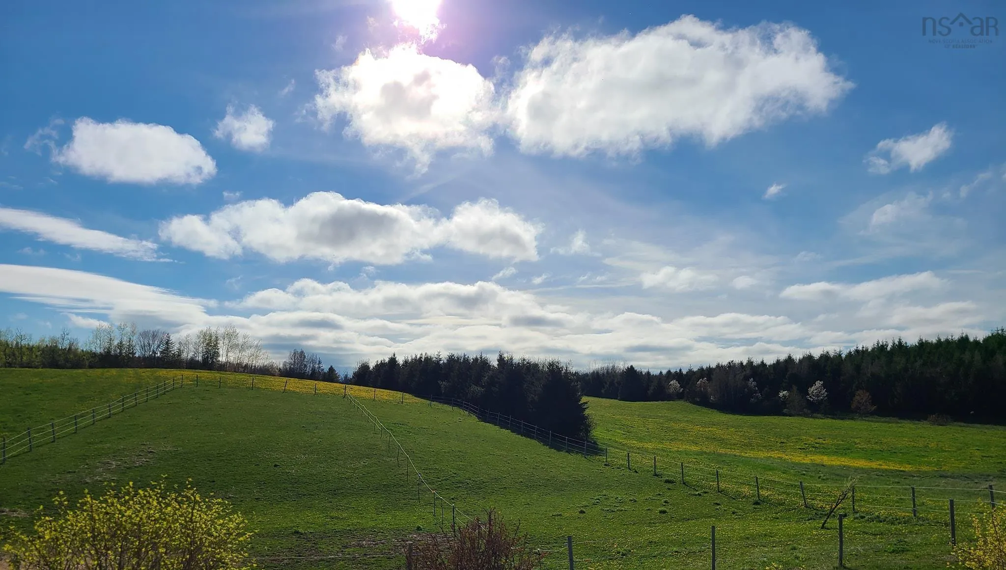 8741 Highway 311, Balfron, NS B0K 1V0, 5 Bedrooms Bedrooms, ,2 BathroomsBathrooms,Residential,For Sale,Highway 311,202517456