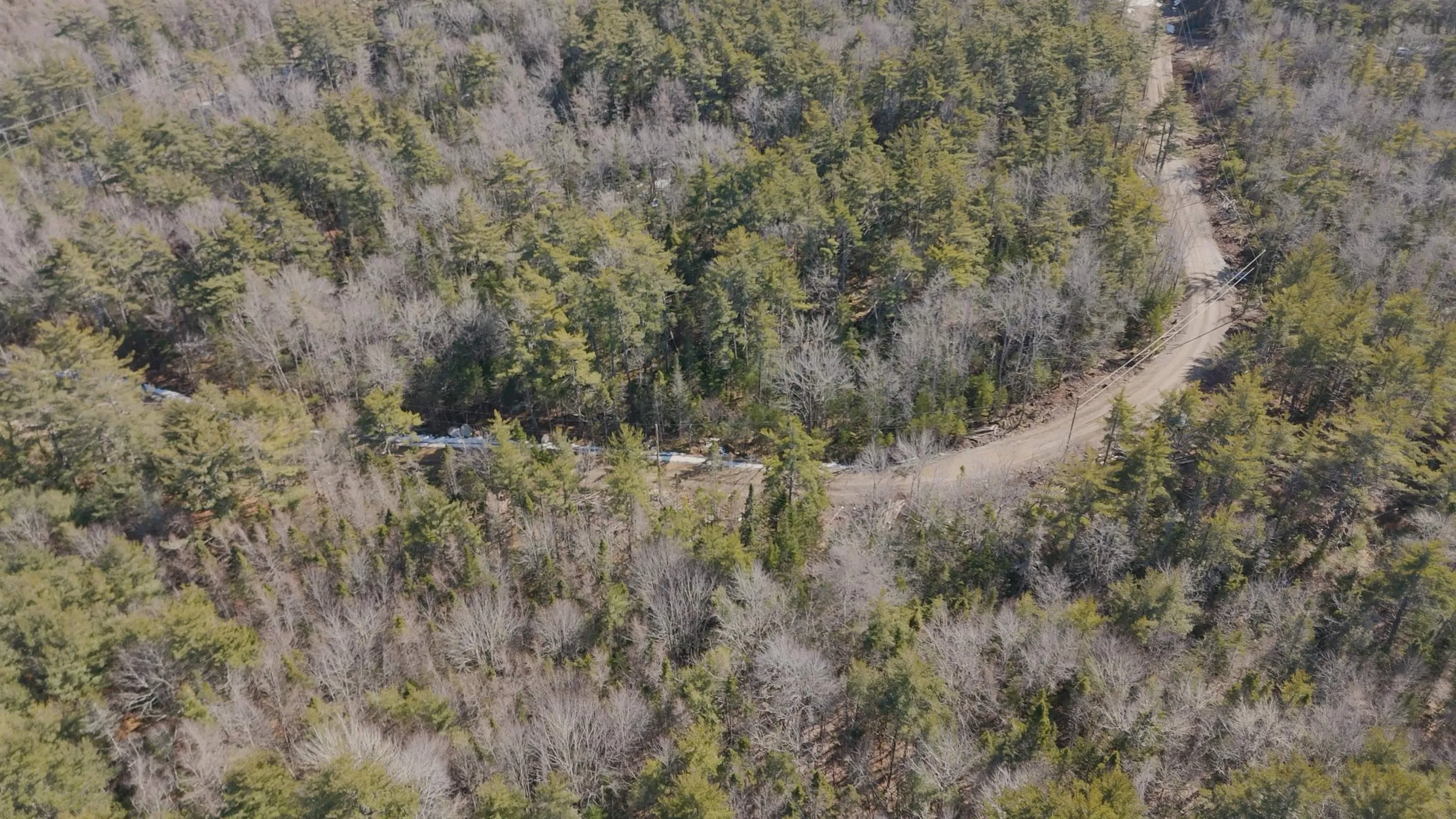Maple Drive Lot 14, Lower Ohio Ns B0t 1w0, ,Land,For Sale,Maple,202508667