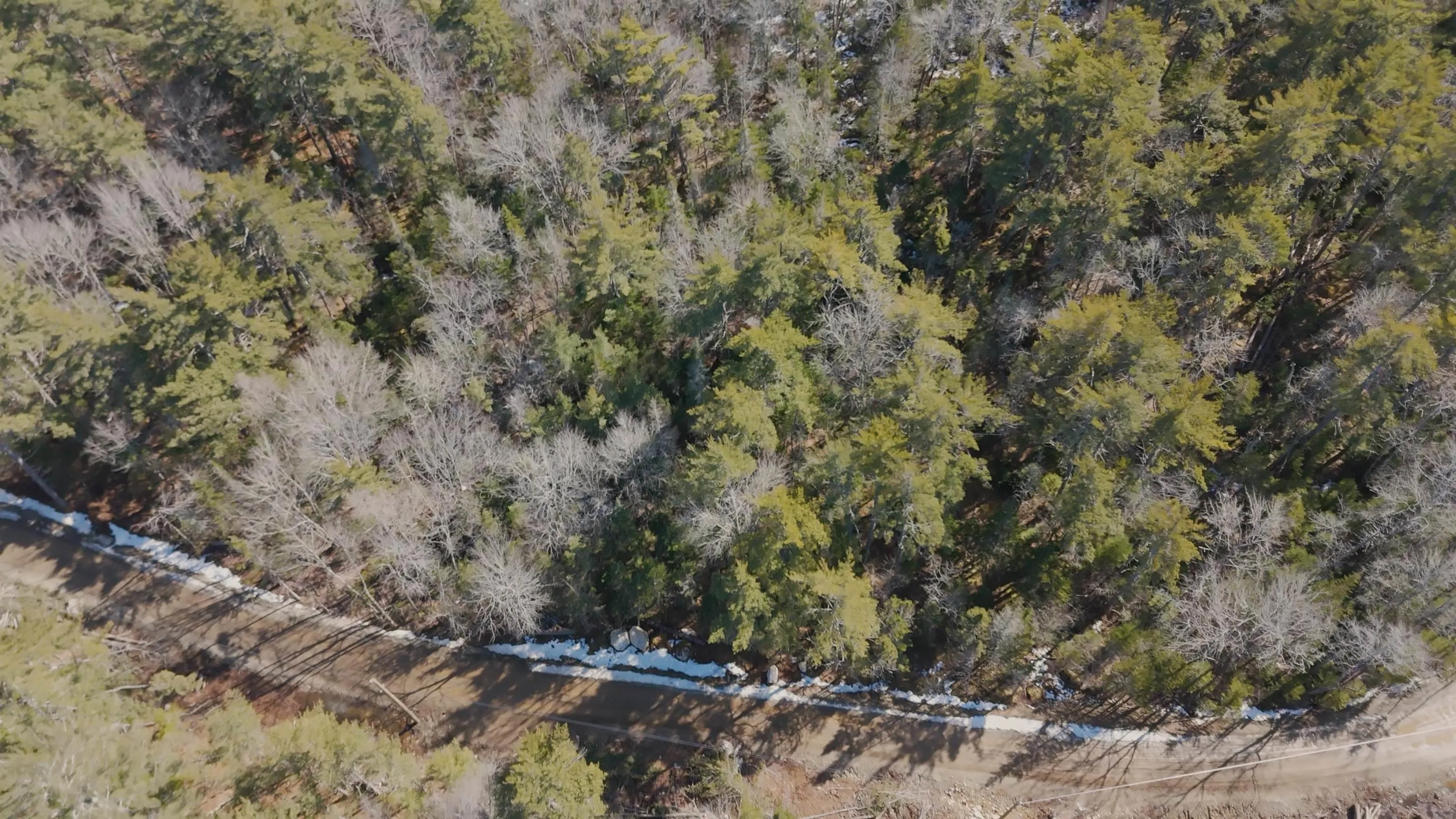 Maple Drive Lot 14, Lower Ohio Ns B0t 1w0, ,Land,For Sale,Maple,202508667
