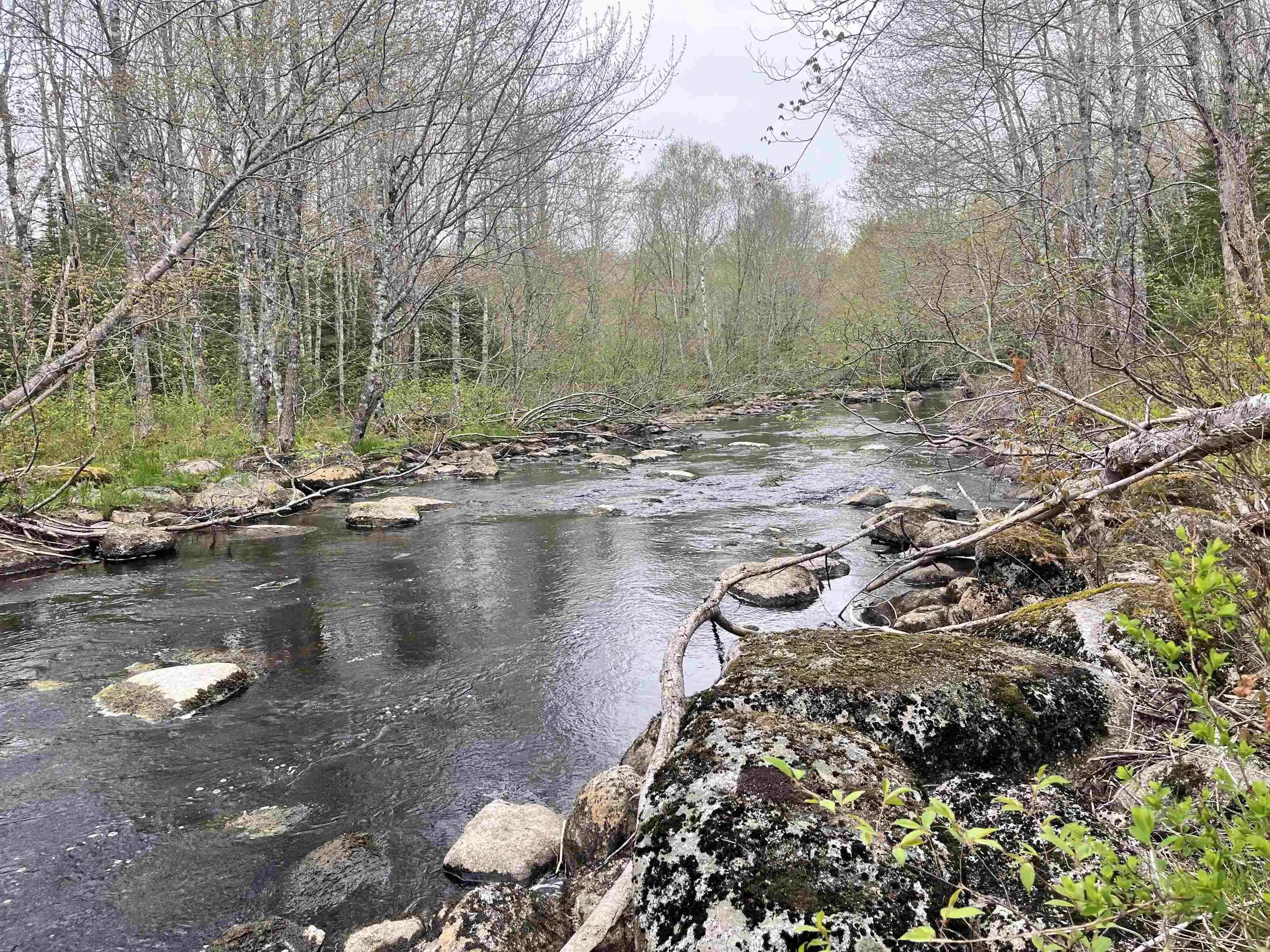 Lot Vb1 Camp Lake Drive, New Ross, NS B0J 2M0, ,Land,For Sale,Camp Lake,202513079
