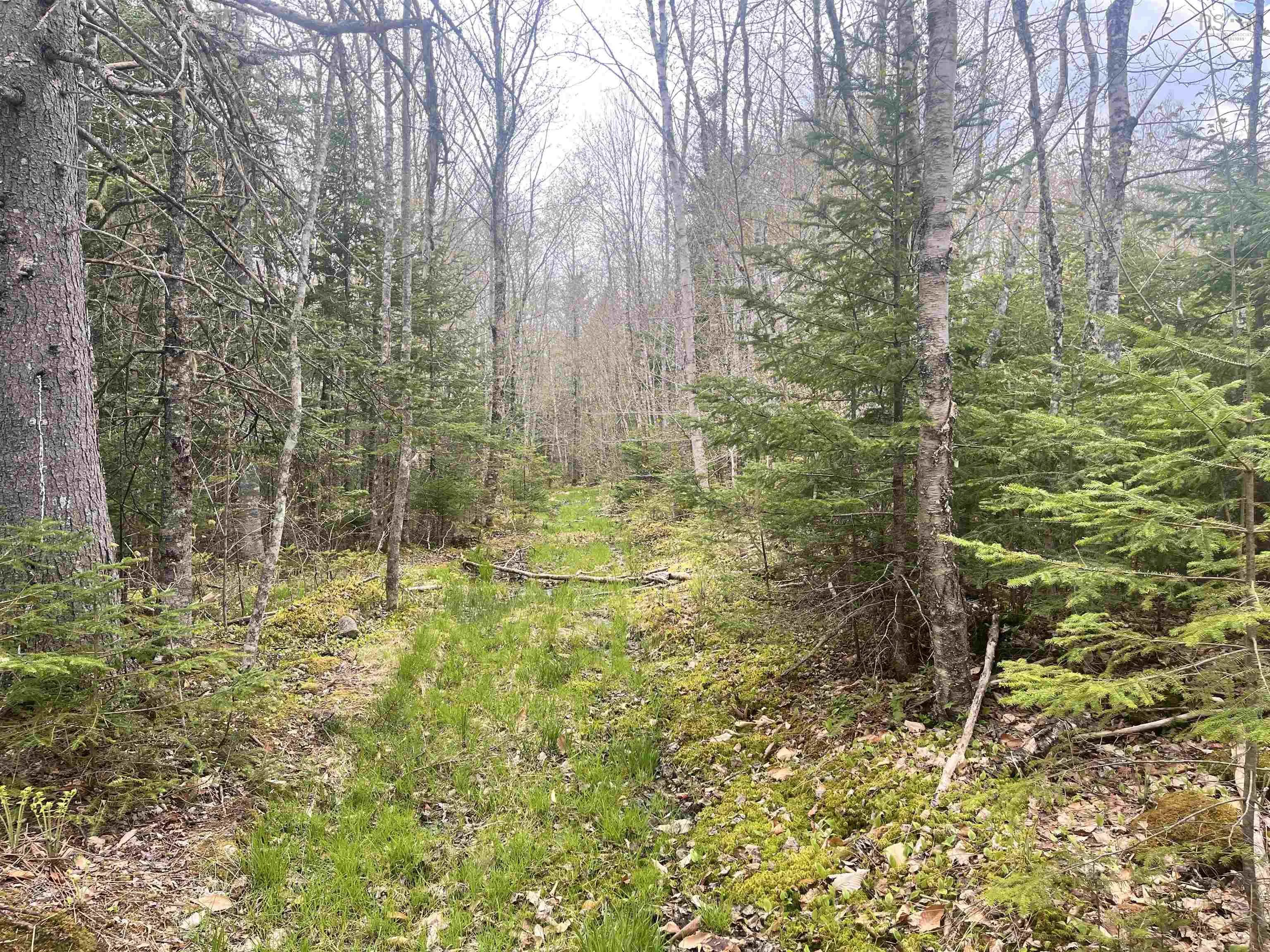 Lot Vb1 Camp Lake Drive, New Ross, NS B0J 2M0, ,Land,For Sale,Camp Lake,202513079
