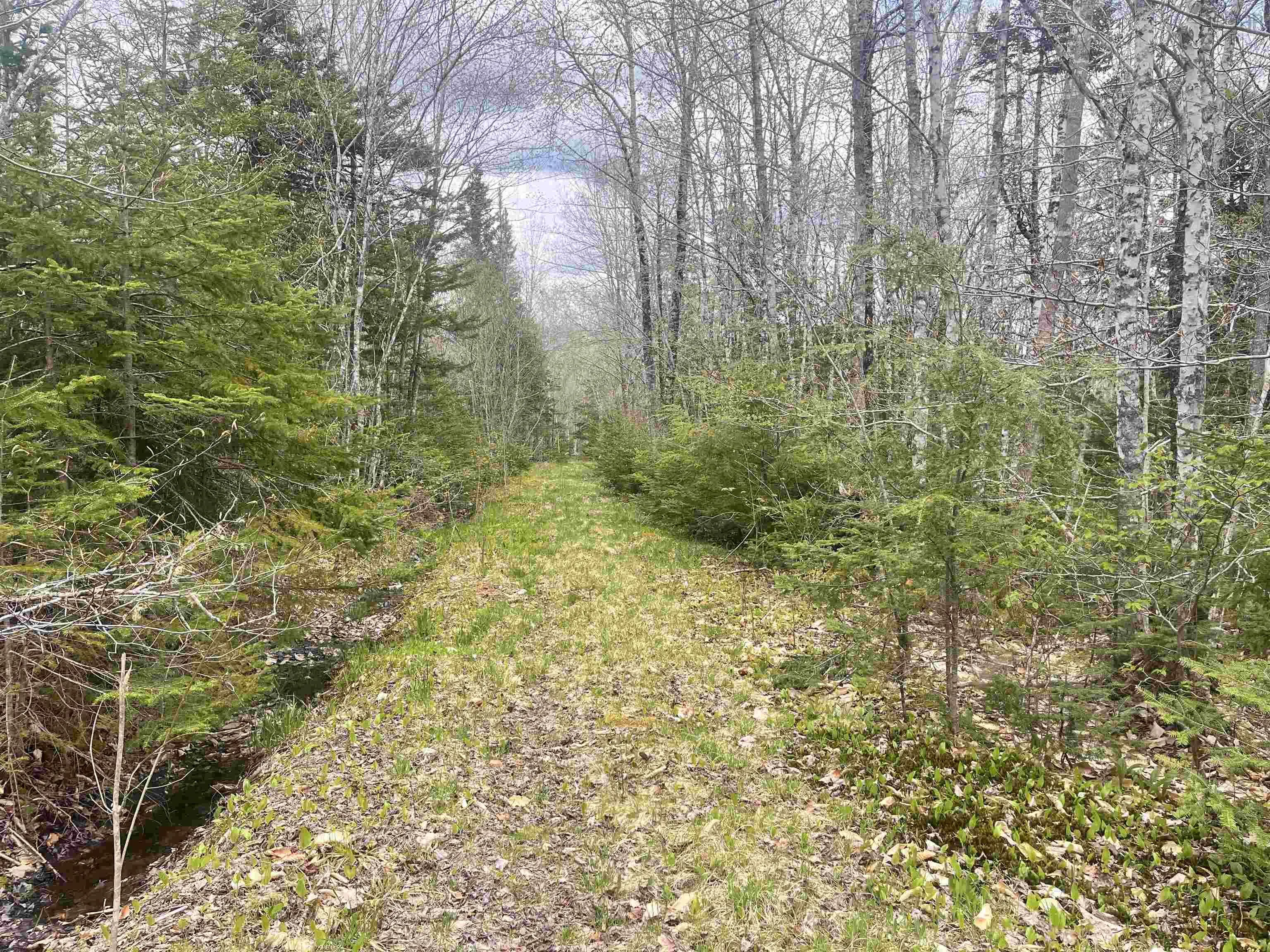 Lot Vb1 Camp Lake Drive, New Ross, NS B0J 2M0, ,Land,For Sale,Camp Lake,202513079