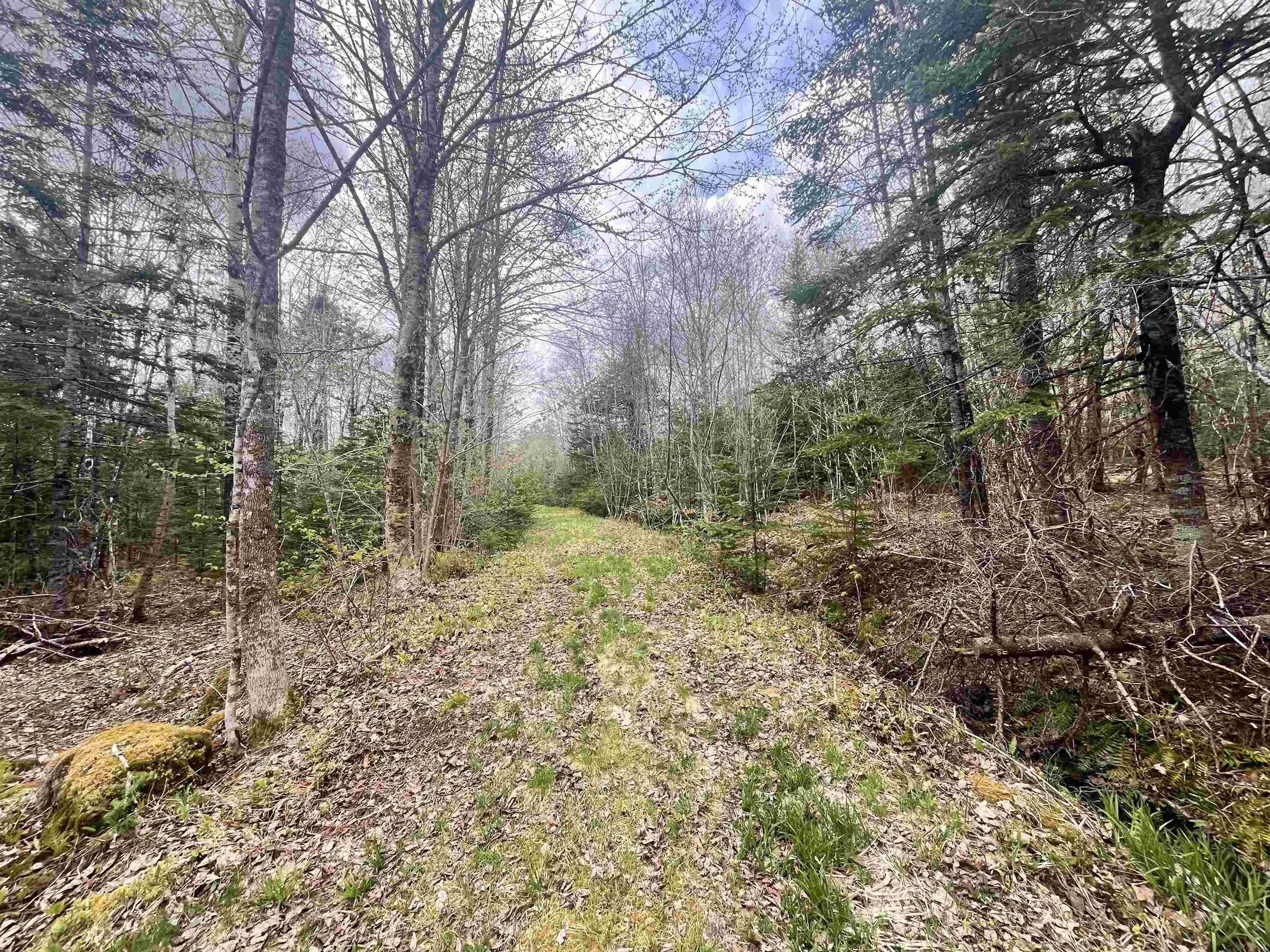 Lot Vb1 Camp Lake Drive, New Ross, NS B0J 2M0, ,Land,For Sale,Camp Lake,202513079