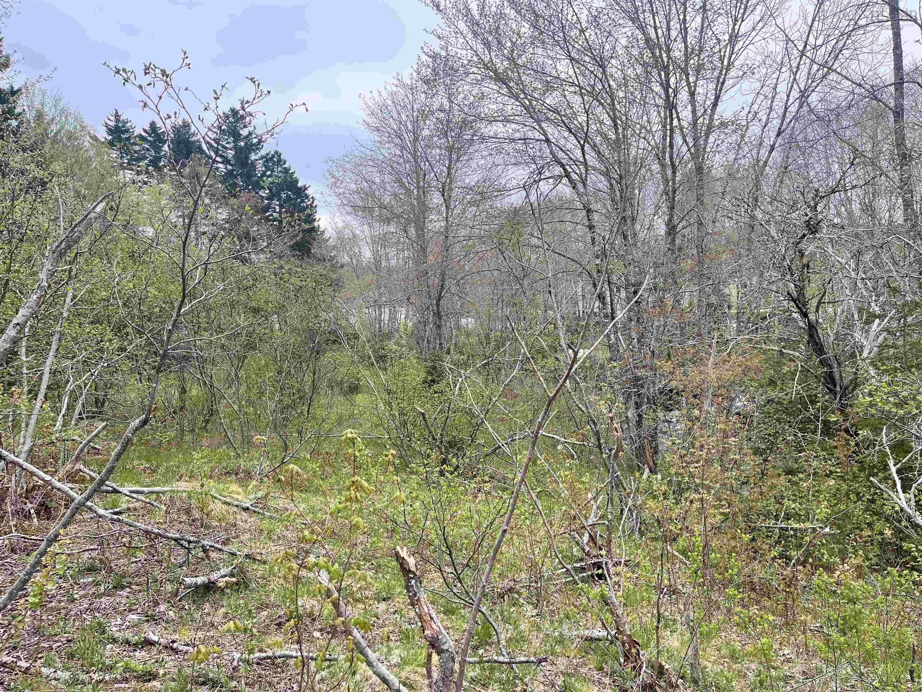 Lot Vb1 Camp Lake Drive, New Ross, NS B0J 2M0, ,Land,For Sale,Camp Lake,202513079