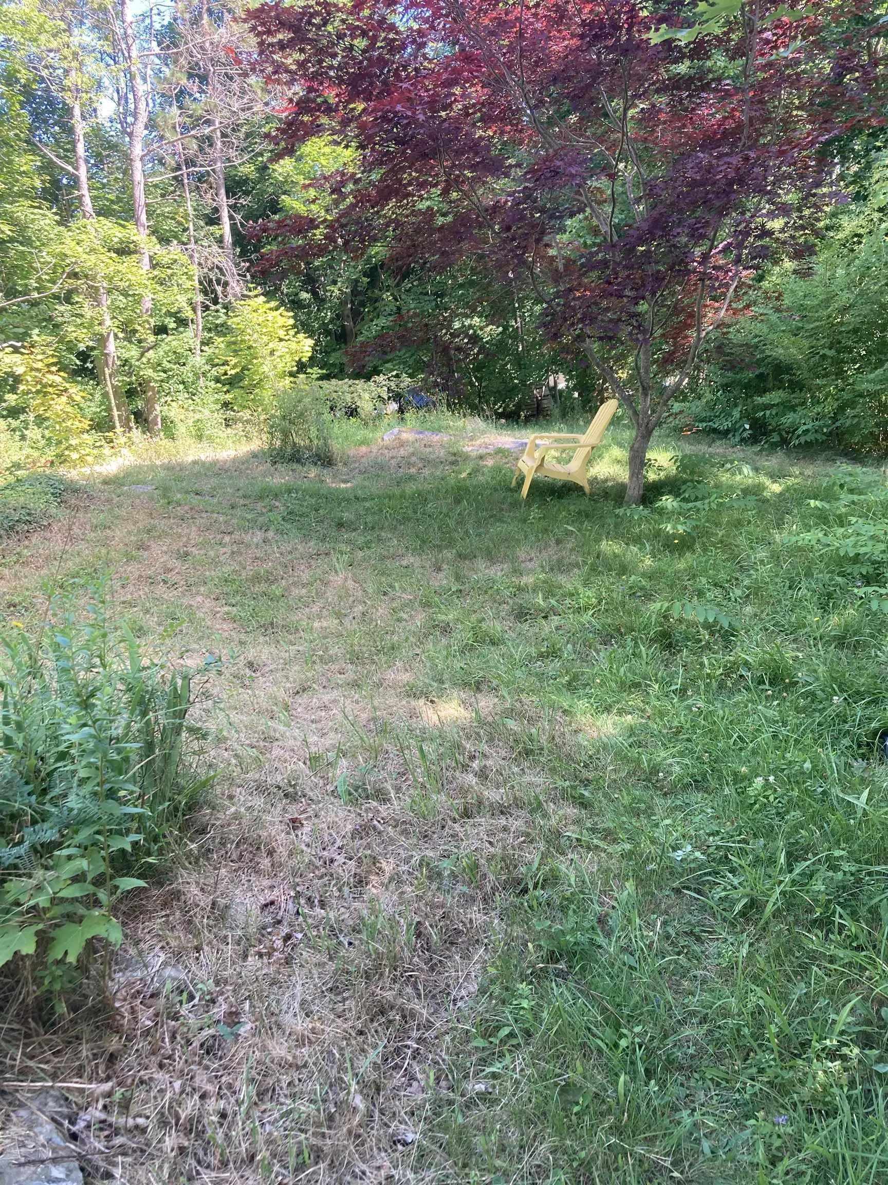 103 School Street, Liverpool, NS B0T 1K0, 5 Bedrooms Bedrooms, ,2 BathroomsBathrooms,Residential,For Sale,School,202519839