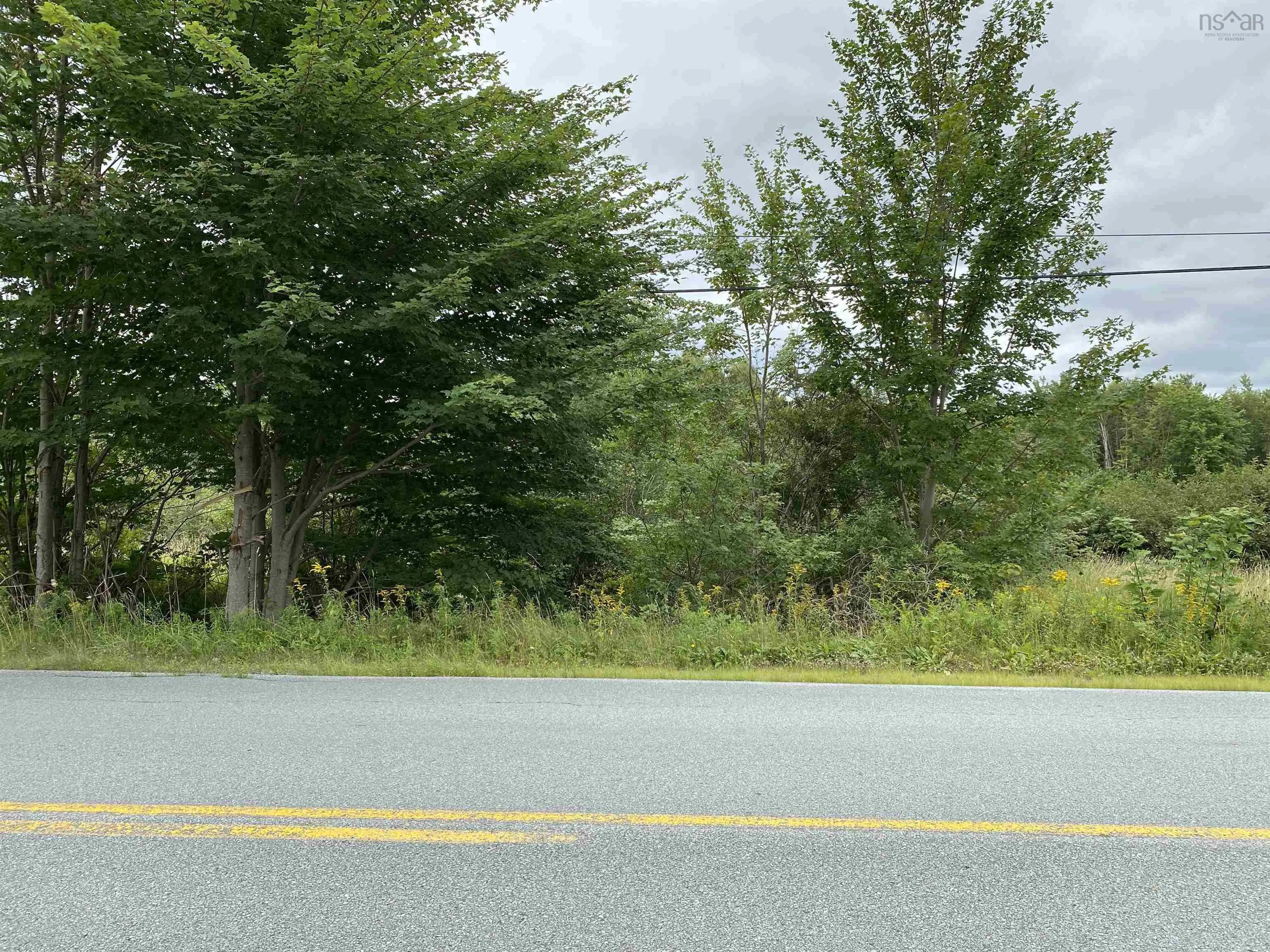 Pid#60326535 Upper Branch Road, Auburndale Ns B4v 3p5, ,Land,For Sale,Pid#60326535 Upper Branch,202420253