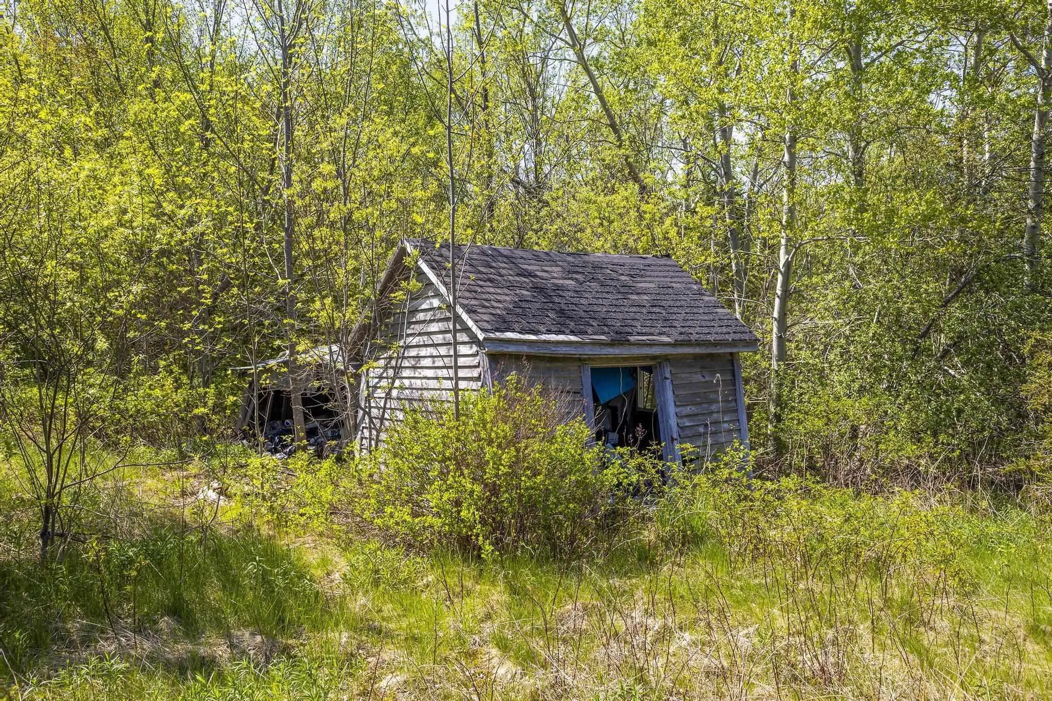 197 Gorman Road, Afton, NS B0H 1A0, ,Land,For Sale,Gorman,202512933