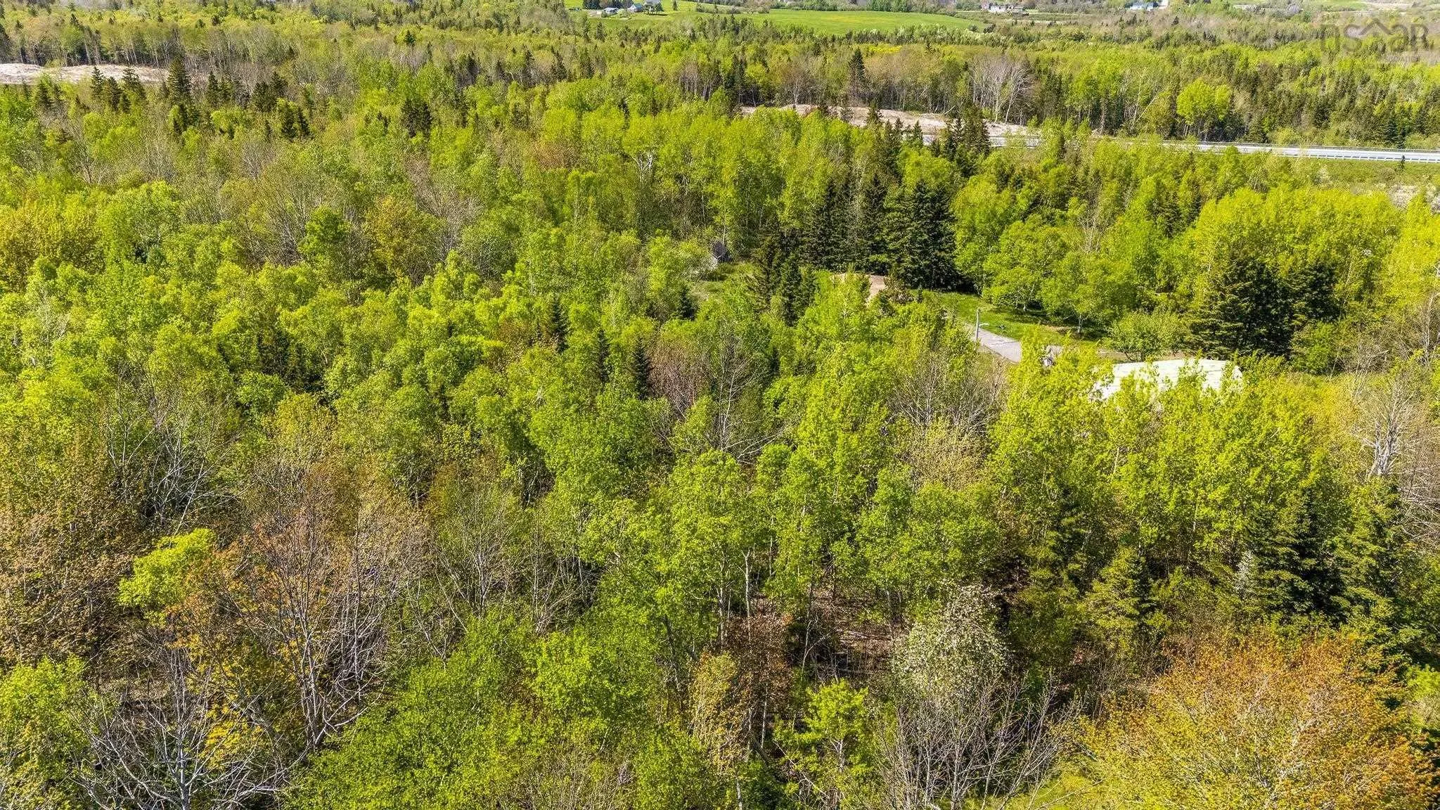 197 Gorman Road, Afton, NS B0H 1A0, ,Land,For Sale,Gorman,202512933
