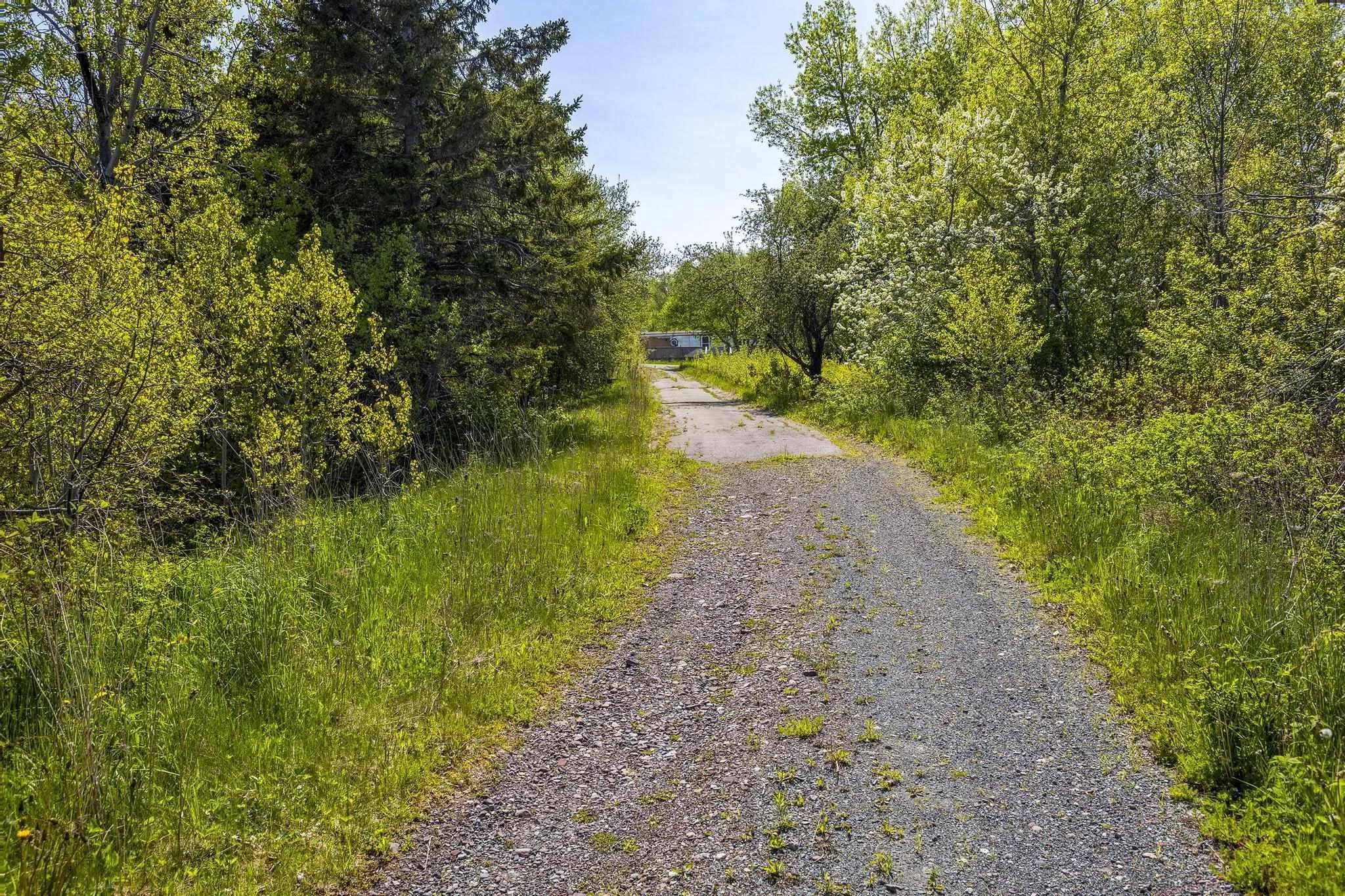 197 Gorman Road, Afton, NS B0H 1A0, ,Land,For Sale,Gorman,202512933