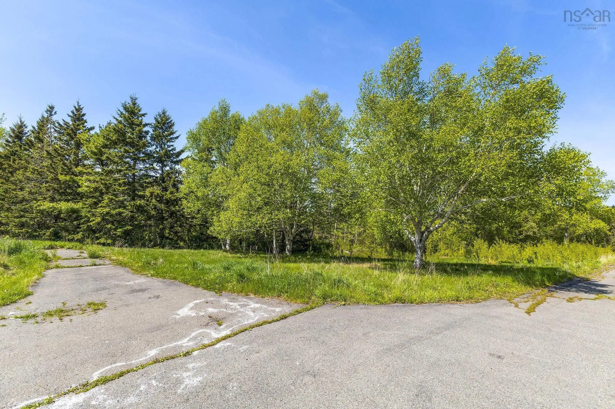 197 Gorman Road, Afton, NS B0H 1A0, ,Land,For Sale,Gorman,202512933